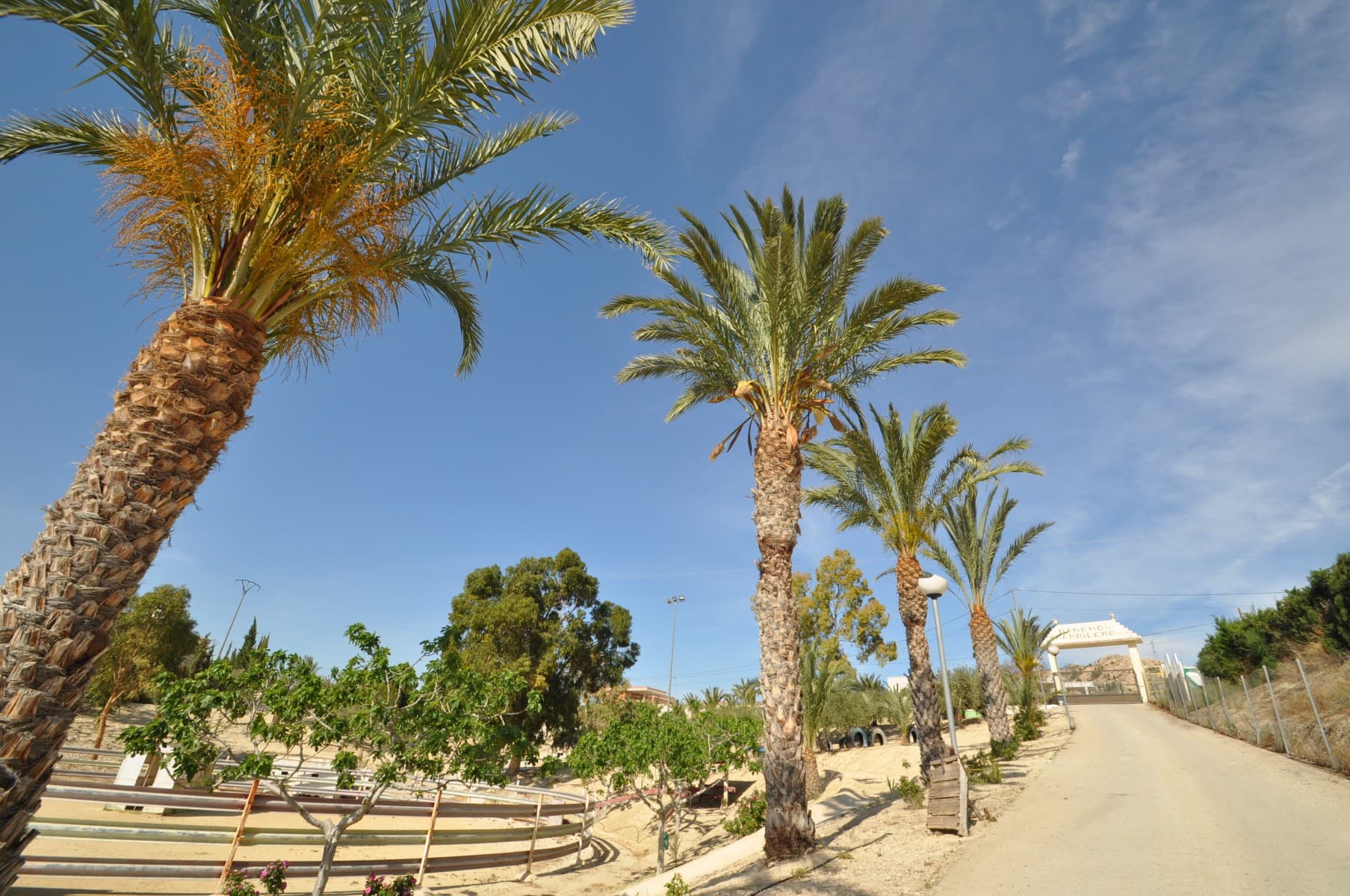 Experience an unforgettable camping adventure at this exceptional property that offers everything you need. With nine spacious slots for Motor Homes and nine plots for static caravans, each equipped with water, electricity, and waste facilities, you'll have plenty of accommodation options for your guests.In addition to the camping area, the property features a well-maintained orchard with mature fruit trees and an efficient irrigation system, providing a serene environment for relaxation and enjoyment. But that's not all! The property also boasts licensed facilities such as a restaurant and cafe. The restaurant comes complete with an industrial kitchen, barbecue area, and air conditioning, and can comfortably seat up to 360 guests on the ground floor. The children will love the dedicated play area, football pitch, and two basketball courts with night-time illumination.Parking is a breeze with ample space for 50 to 60 cars. If you're into horse training, there's also six stables, a training sandpit, and another bull ring/sandpit, providing endless opportunities for equestrian activities.The pool area features a kiosk and four bathrooms with shower rooms, with a very large pool measuring 15 x 25 meters and 2 meters in depth. For optimal safety, the pool is fenced and gated, allowing kids to run around and play freely without any concerns.This extraordinary property is located within walking distance from the town and promises the ultimate camping getaway. Come and experience it for yourself!We have a large portfolio of properties in the Costa Blanca and Costa Calida areas, specialising in country properties, villas, fincas, building plots and design and build options in the Alicante and Murcia regions with a particular emphasis on Elda, Monovar, Pinoso, Sax, Villena, Aspe, Fortuna, Albacete and many more surrounding areas. We have been established since 2004 and have decades of experience between the team which we bring to bear to help you find and secure your new dream home. We help you every step of the way to make sure your purchase in Spain is safe and hassle free. We are not here to sell you a property, we are here to help you realise your dream and find what is right for you. With us you are in the safest hands. Contact us now to have a no obligation chat about how you too can realise your dreams.