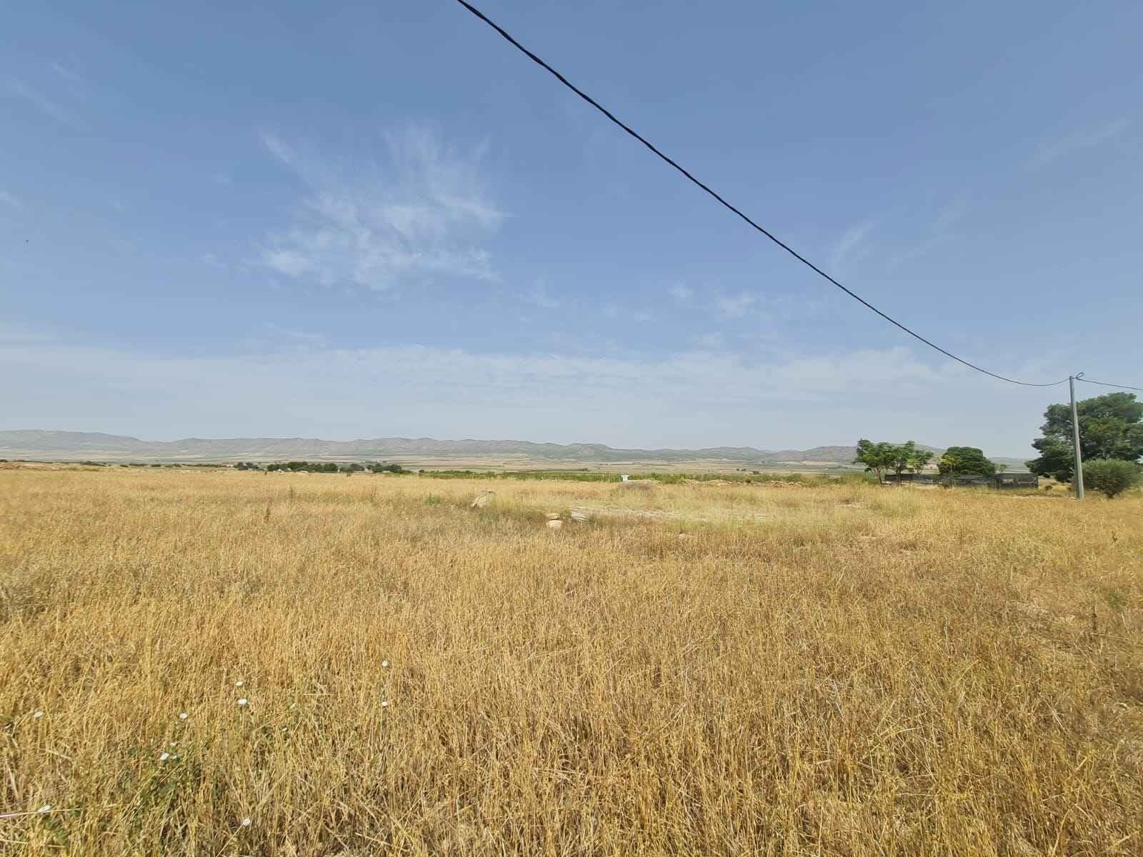 Welcome to this incredible 10,600m2 plot of land with lots of potential! You have the option to build up to 2% of the land area, giving you plenty of room to create your dream property. The location is simply stunning, with beautiful views and a peaceful atmosphere, perfect for building your own home, estate, or a relaxing retreat.The best part is that the land comes with irrigation water, making it easy to maintain lush gardens and green spaces. Plus, there's access to mains electric, so you can enjoy modern amenities while still being in a serene countryside setting.Whether you want to build a private getaway, start an agricultural project, or make a smart investment, this plot has endless possibilities. Take advantage of this rare opportunity to own a large piece of land with irrigation water and electric already available. Let your imagination run wild and turn this fantastic property into something truly special!Pinoso Estate Agent, Sax Estate Agent, Elda Estate Agent, Monovar Estate Agent, La Romana Agent, Yecla Estate Agent, Petrer Estate Agent, Novelda Estate Agent, Abanilla Estate Agent, Albacete Estate Agent, Biar Estate Agent, Almansa Estate Agent, Hondon De La Nieves Estate Agent, Hondon De La Frailes Estate Agent, Pinoso Property, Sax Property, Elda Property, Monovar Property, La Romana Property, Fortuna Property, Salinas Property, Villena Property, Aspe Property, Yecla Property, Petrer Property, Novelda Property, Abanilla Property, Albacete Property, Biar Property, Almansa Property, Hondon De La Nieves Property, Hondon De La Frailes Property, Pinoso Design And Build, Sax Design And Build, Elda Design And Build, Monovar Design And Build, La Romana Design And Build, Fortuna Design And Build, Salinas Design And Build, Villena Design And Build, Aspe Design And Build, Yecla Design And Build, Petrer Design And Build, Novelda Design And Build, Abanilla Design And Build, Albacete Design And Build, Biar Design And Build, Almansa Design And Build, Hondon De La Nieves Design And Build, Hondon De La Frailes Design And Build, Pinoso Building Plot, Sax Building Plot, Elda Building Plot, Monovar Building Plot, La Romana Building Plot, Fortuna Building Plot, Salinas Building Plot, Villena Building Plot, Aspe Building Plot, Yecla Building Plot, Petrer Building Plot, Novelda Building Plot, Abanilla Building Plot, Albacete Building Plot, Biar Building Plot, Almansa Building Plot, Hondon De La Nieves Building Plot, Hondon De La Frailes Building Plot, Villa in Pinoso , Villa in Sax , Villa in Elda , Villa in Monovar , Villa in La Romana , Villa in Fortuna , Villa in Salinas , Villa in Villena , Villa in Aspe , Villa in Yecla , Villa in Petrer , Villa in Novelda , Villa in Abanilla , Villa in Albacete , Villa in Biar , Villa in Almansa , Villa in Hondon De La Nieves , Villa in Hondon De La Frailes , Country House Pinoso , Country House Sax , Country House Elda , Country House Monovar , Country House La Romana , Country House Fortuna , Country House Salinas , Country House Villena , Country House Aspe , Country House Yecla , Country House Petrer , Country House Novelda , Country House Abanilla , Country House Albacete , Country House Biar , Country House Almansa , Country House Hondon De La Nieves , Country House Hondon De La Frailes , Country Property spain, Alicante region, Inland villas, pinoso villas, inland villas, country house, retreat alicante, beautiful villa, country retreat, finca, yecla, Alicante dream homes, Country Fincas, Inland Villas, Pinoso Villas, Alicante property, casas in Espana, Sunshine Villas, Dream new villas, Costa Blanca property, Fab Fincas, Alicante Estate agents, find a Finca for you, Yecla Property, Yecla Estate Agent. Pinoso estate Agent, Sax Estate Agent, La Romana Estate Agent. Fortuna Estate Agent, Elda Estate Agent, Monovar Estate Agent, Alicante Property. Estate Agent, Fortuna Estate Agent, Salinas Estate Agent, Villena Estate Agent, Aspe Estate