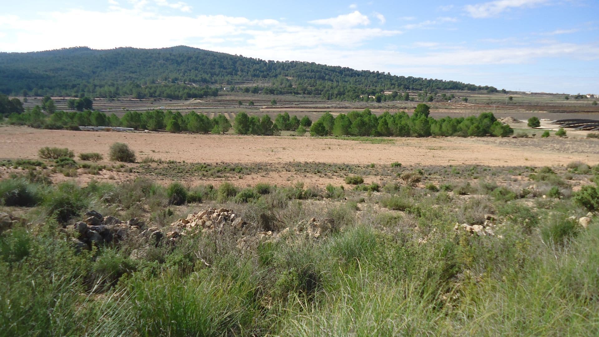 This 86,000m² building plot near Monovar offers a lush, green landscape with irrigation water readily available. With up to 2% of the land permitted for construction, this property provides ample space and flexibility for your development plans in a tranquil, natural setting.We have a large portfolio of properties in the Costa Blanca and Costa Calida areas, specialising in country properties, villas, fincas, building plots and design and build options in the Alicante and Murcia regions with a particular emphasis on Elda, Monovar, Pinoso, Sax, Villena, Aspe, Fortuna, Albacete and many more surrounding areas. We have been established since 2004 and have decades of experience between the team which we bring to bear to help you find and secure your new dream home. We help you every step of the way to make sure your purchase in Spain is safe and hassle free. We are not here to sell you a property, we are here to help you realise your dream and find what is right for you. With us you are in the safest hands. Contact us now to have a no obligation chat about how you too can realise your dreams.
