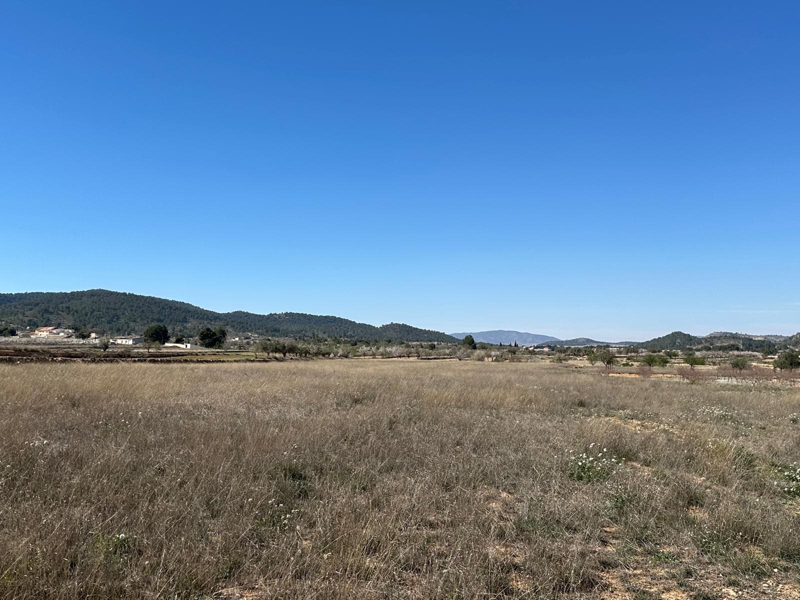 Building Plot for Sale Near Casas del Señor – 16,136 m²This generous 16,136 m² plot is located just outside the village of Casas del Señor, offering a peaceful countryside setting with plenty of space and privacy. The land is suitable for building, and a cédula urbanística has already been obtained, confirming that construction is permitted (subject to project and license approval).The size of the plot provides flexibility to design a comfortable home with gardens, outdoor living areas, or additional features to suit your needs. The plot enjoys open views of the surrounding countryside and is well positioned for those looking to enjoy rural living while staying close to nearby towns.About the Area Casas del Señor is a small and traditional village known for its relaxed atmosphere and local charm, with a few restaurants and essential amenities. The nearby town of Monóvar offers a wider range of services, including shops, schools, and healthcare. Surrounded by vineyards, almond groves, and rolling countryside, the area provides a tranquil lifestyle while still being within easy driving distance of Alicante city, the airport, and the coast.We have a large portfolio of properties in the Costa Blanca and Costa Calida areas, specialising in country properties, villas, fincas, building plots and design and build options in the Alicante and Murcia regions with a particular emphasis on Elda, Monovar, Pinoso, Sax, Villena, Aspe, Fortuna, Albacete and many more surrounding areas. We have been established since 2004 and have decades of experience between the team which we bring to bear to help you find and secure your new dream home. We help you every step of the way to make sure your purchase in Spain is safe and hassle free. We are not here to sell you a property, we are here to help you realise your dream and find what is right for you. With us you are in the safest hands. Contact us now to have a no obligation chat about how you too can realise your dreams.