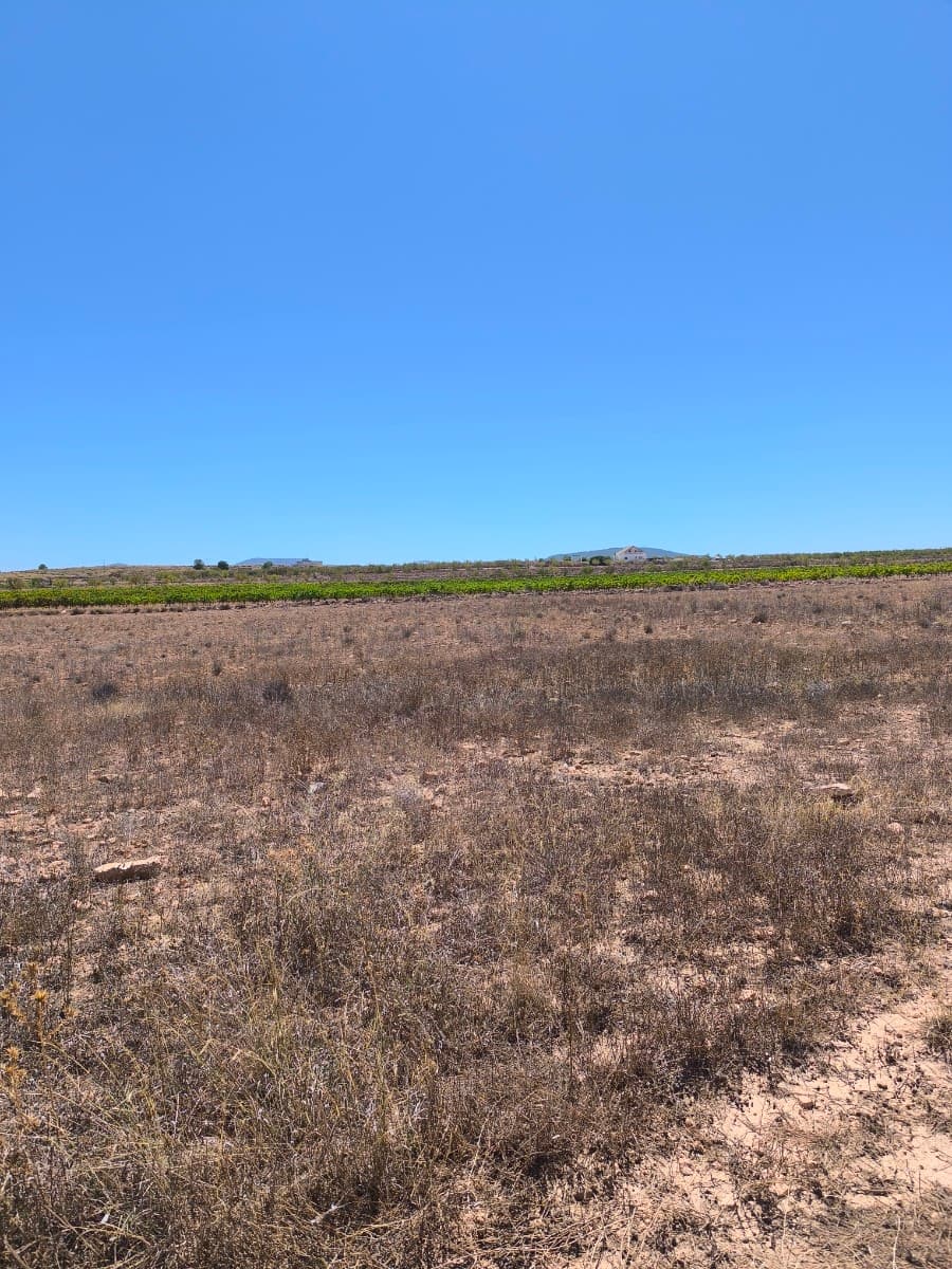 Presenting a fantastic plot of land spanning 30,552 square meters, offering a great opportunity for development. While the plot currently lacks water and electricity, both utilities are conveniently close by, making connections straightforward.Ideally located, the land is not far from the town of Lel and just a few minutes' drive to Pinoso, providing easy access to local amenities and services. This expansive plot offers the perfect canvas for your development ambitions.Don't miss out on this excellent investment opportunity in a desirable location. Contact us today for more details and to arrange a viewing.We have a large portfolio of properties in the Costa Blanca and Costa Calida areas, specialising in country properties, villas, fincas, building plots and design and build options in the Alicante and Murcia regions with a particular emphasis on Elda, Monovar, Pinoso, Sax, Villena, Aspe, Fortuna, Albacete and many more surrounding areas. We have been established since 2004 and have decades of experience between the team which we bring to bear to help you find and secure your new dream home. We help you every step of the way to make sure your purchase in Spain is safe and hassle free. We are not here to sell you a property, we are here to help you realise your dream and find what is right for you. With us you are in the safest hands. Contact us now to have a no obligation chat about how you too can realise your dreams.