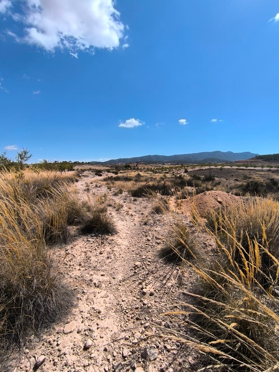 Building plot for sale in the peaceful hamlet of Cañada del Trigo, (Jumilla), surrounded by vineyards and beautiful countryside, the perfect place for those seeking peace and privacy without giving up nearby services. We already have the certificate from the Town Hall confirming that the plot can be built upon. This plot is a great opportunity to build the home of your dreams in a privileged setting, with the chance to design and create a property tailored to your needs. It is located just 12 minutes from the charming town of Pinoso, where you will find all amenities: supermarkets, schools, health centre, restaurants, and local shops. Its location offers the ideal balance between the serenity of the countryside and the convenience of having everything close at hand, making it a perfect option both for a permanent residence or a holiday home.If you liked this property, do not hesitate to contact us to organize a visit, we will be happy to help you!We have a large portfolio of properties in the Costa Blanca and Costa Calida areas, specialising in country properties, villas, fincas, building plots and design and build options in the Alicante and Murcia regions with a particular emphasis on Elda, Monovar, Pinoso, Sax, Villena, Aspe, Fortuna, Albacete and many more surrounding areas. We have been established since 2004 and have decades of experience between the team which we bring to bear to help you find and secure your new dream home. We help you every step of the way to make sure your purchase in Spain is safe and hassle free. We are not here to sell you a property, we are here to help you realise your dream and find what is right for you. With us you are in the safest hands. Contact us now to have a no obligation chat about how you too can realise your dreams.