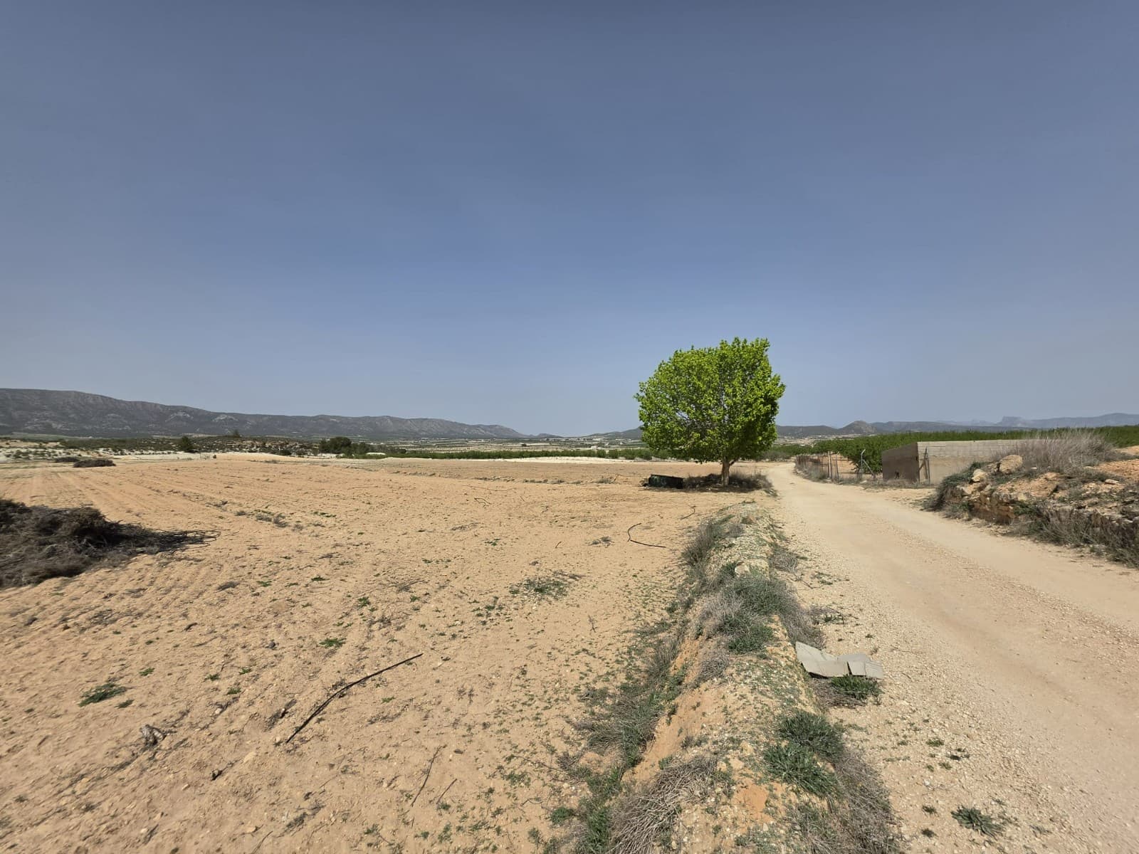 Introducing a remarkable opportunity to purchase a fully legal building plot located just 5 minutes outside the charming town of Pinoso. This picturesque area is surrounded by stunning vineyards and orchards, providing an idyllic backdrop with breathtaking views over regional parks.The location is ideal for those who enjoy outdoor activities such as walking and cycling, with many scenic routes to explore. This is an excellent chance to build your dream home or invest in a prime piece of real estate in an up-and-coming area.The plots come with written confirmation from the town hall that building is permitted, ensuring a hassle-free process from start to finish. In addition,water and electric are available as is internet, and telephone services.The town hall allows for construction of up to 2% and two levels, providing ample space to create a spacious and luxurious home. With all these amenities and features, this is an opportunity not to be missed. Take advantage of this chance to purchase a piece of paradise in one of the most beautiful areas of Spain.We have a large portfolio of properties in the Costa Blanca and Costa Calida areas, specialising in country properties, villas, fincas, building plots and design and build options in the Alicante and Murcia regions with a particular emphasis on Elda, Monovar, Pinoso, Sax, Villena, Aspe, Fortuna, Albacete and many more surrounding areas. We have been established since 2004 and have decades of experience between the team which we bring to bear to help you find and secure your new dream home. We help you every step of the way to make sure your purchase in Spain is safe and hassle free. We are not here to sell you a property, we are here to help you realise your dream and find what is right for you. With us you are in the safest hands. Contact us now to have a no obligation chat about how you too can realise your dreams.