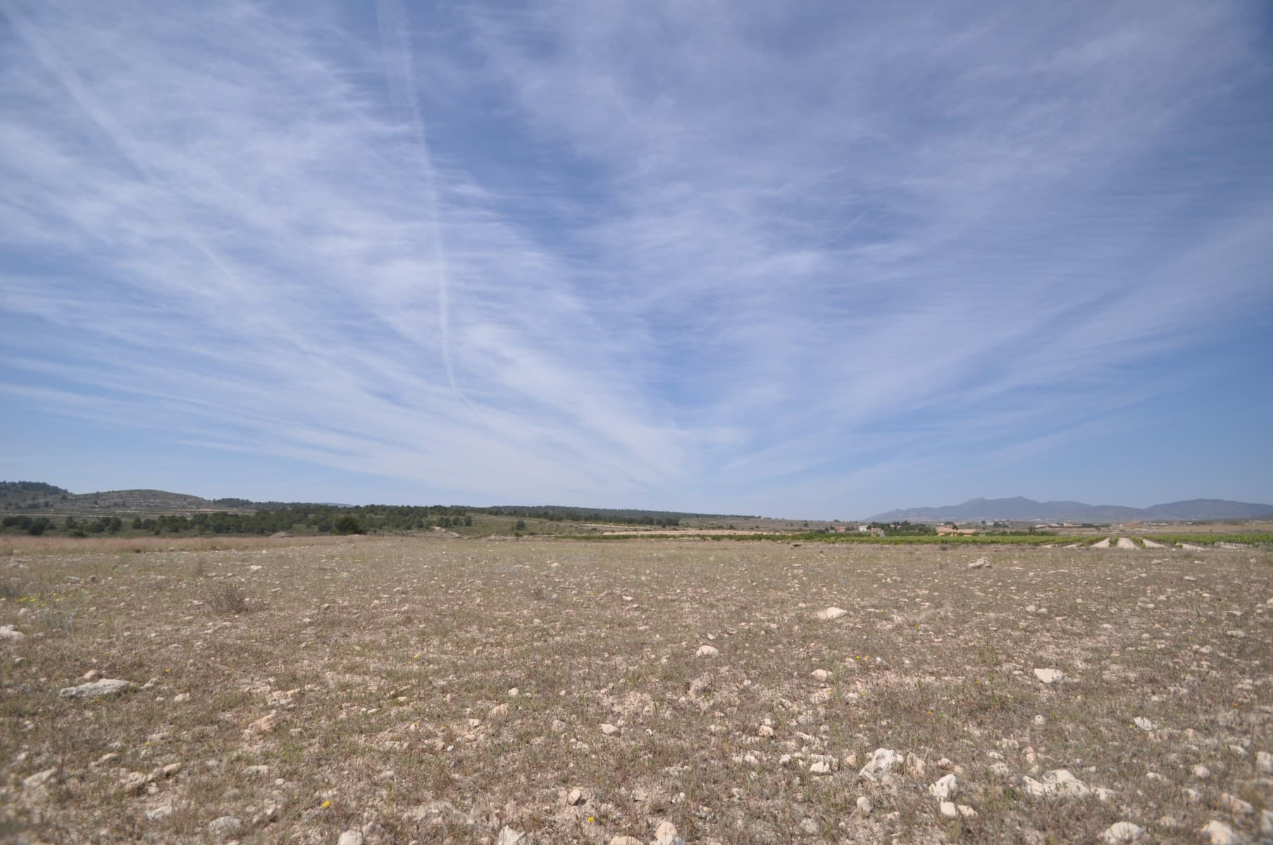 Building plot in a very good position just ahead of Ubeda, at 8 km from Pinoso.The price include the project of a 3 bedrooms and 2 bathrooms house, with kitchen, loungeroom, and solarium, and also the connection to the water. We are specialists in the Costa Blanca and Costa Calida specialising in the Alicante and Murcia Inland regions with a particular emphasis on Elda, Pinoso, Aspe, Elche and surrounding areas. We are an established, well known and trusted company that has built a solid reputation amongst buyers and sellers since we began trading in 2004. We offer a complete service with no hidden charges or surprises, starting with sourcing the property, right through to completion, and an unrivalled after sales service which includes property management, building services, and general help and advice to make your new house a home. With a portfolio of well over 1400 properties for sale, we are confident that we can help, so just let us know your preferred property, budget and location, and we will do the rest.