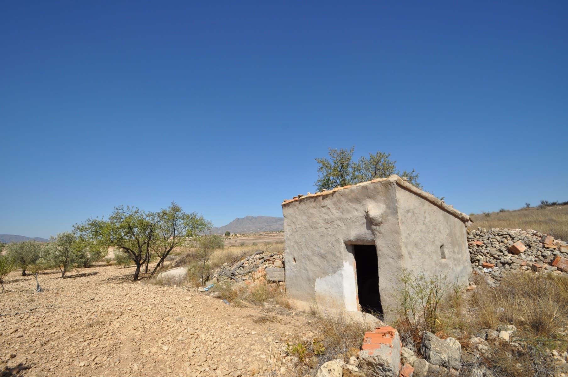 Agricultural plot in Torre del Rico, in a very nice and quiet position, for agricultural use of even if you desire to build the house of your dreams.Has access to free natural water from a bore hole on the property. We are specialists in the Costa Blanca and Costa Calida specialising in the Alicante and Murcia Inland regions with a particular emphasis on Elda, Pinoso, Aspe, Elche and surrounding areas. We are an established, well known and trusted company that has built a solid reputation amongst buyers and sellers since we began trading in 2004. We offer a complete service with no hidden charges or surprises, starting with sourcing the property, right through to completion, and an unrivalled after sales service which includes property management, building services, and general help and advice to make your new house a home. With a portfolio of well over 1400 properties for sale, we are confident that we can help, so just let us know your preferred property, budget and location, and we will do the rest.