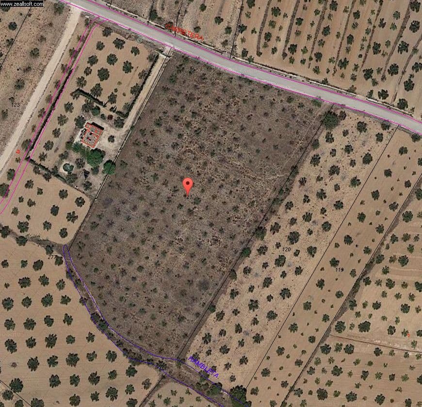 Plot of 10122 in Biar.Poinf available for electricity.Irrigation Water.We are specialists in the Costa Blanca and Costa Calida specialising in the Alicante and Murcia Inland regions with a particular emphasis on Elda, Pinoso, Aspe, Elche and surrounding areas. We are an established, well known and trusted company that has built a solid reputation amongst buyers and sellers since we began trading in 2004. We offer a complete service with no hidden charges or surprises, starting with sourcing the property, right through to completion, and an unrivalled after sales service which includes property management, building services, and general help and advice to make your new house a home. With a portfolio of well over 1400 properties for sale, we are confident that we can help, so just let us know your preferred property, budget and location, and we will do the rest.