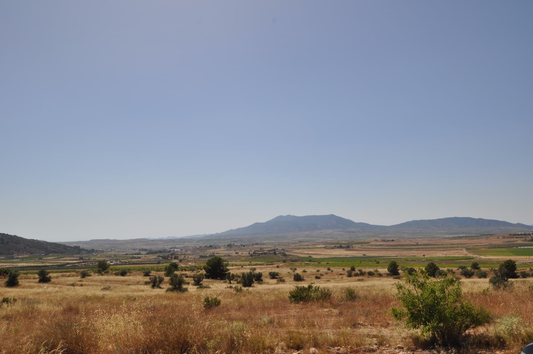 Fabulosa parcela con excelentes vistas situada a poca distancia de la ciudad de Pinoso. Esta parcela se divide en varios niveles y ofrece excelentes vistas de los parques regionales, así como una ciudad de Pinoso, que le ofrece una hermosa vista de las luces parpadeantes de la noche. La parcela está en una posición elevada con olivos maduros plantados en ella. Vistas increíbles que deben ser vistas para ser apreciadas. La parcela no cuenta con instalaciones, sin embargo están disponibles en la zona. Somos especialistas en la Costa Blanca y Costa Cálida que se especializan en las regiones del interior de Alicante y Murcia con un énfasis particular en Elda, Pinoso, Aspe, Elche y las áreas circundantes. Somos una empresa establecida, bien conocida y confiable que ha construido una sólida reputación entre compradores y vendedores desde que comenzamos a comercializar en 2004. Ofrecemos un servicio completo sin cargos ocultos o sorpresas, comenzando con la compra de la propiedad, hasta la finalización, y un servicio posventa incomparable que incluye administración de propiedades, servicios de construcción y ayuda y consejos generales para que su nueva casa sea un hogar. Con una cartera de más de 1400 propiedades en venta, confiamos en que podemos ayudar, así que háganos saber su propiedad, presupuesto y ubicación preferidos, y nosotros haremos el resto.