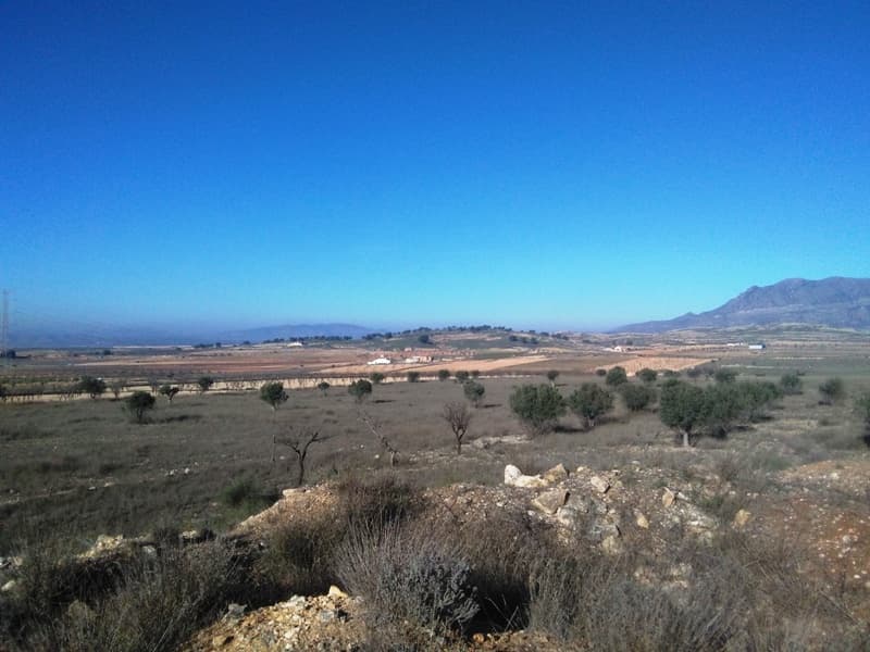 Plot of 16 hectares, that is to say 160000 thousand square meters of a piece located in Torre del rico, Jumilla, Murcia. The plot has 10 hectares planted with almond trees (2,450 almonds trees). Planted from January 2017 and the rest in white and with more than 100 olive trees and over 50 more large almonds trees. The plot is a whole piece and only separates the road from the entrance. It is possible to rent with option to purchase.We are specialists in the Costa Blanca and Costa Calida specialising in the Alicante and Murcia Inland regions with a particular emphasis on Elda, Pinoso, Aspe, Elche and surrounding areas. We are an established, well known and trusted company that has built a solid reputation amongst buyers and sellers since we began trading in 2004. We offer a complete service with no hidden charges or surprises, starting with sourcing the property, right through to completion, and an unrivalled after sales service which includes property management, building services, and general help and advice to make your new house a home. With a portfolio of well over 1400 properties for sale, we are confident that we can help, so just let us know your preferred property, budget and location, and we will do the rest.