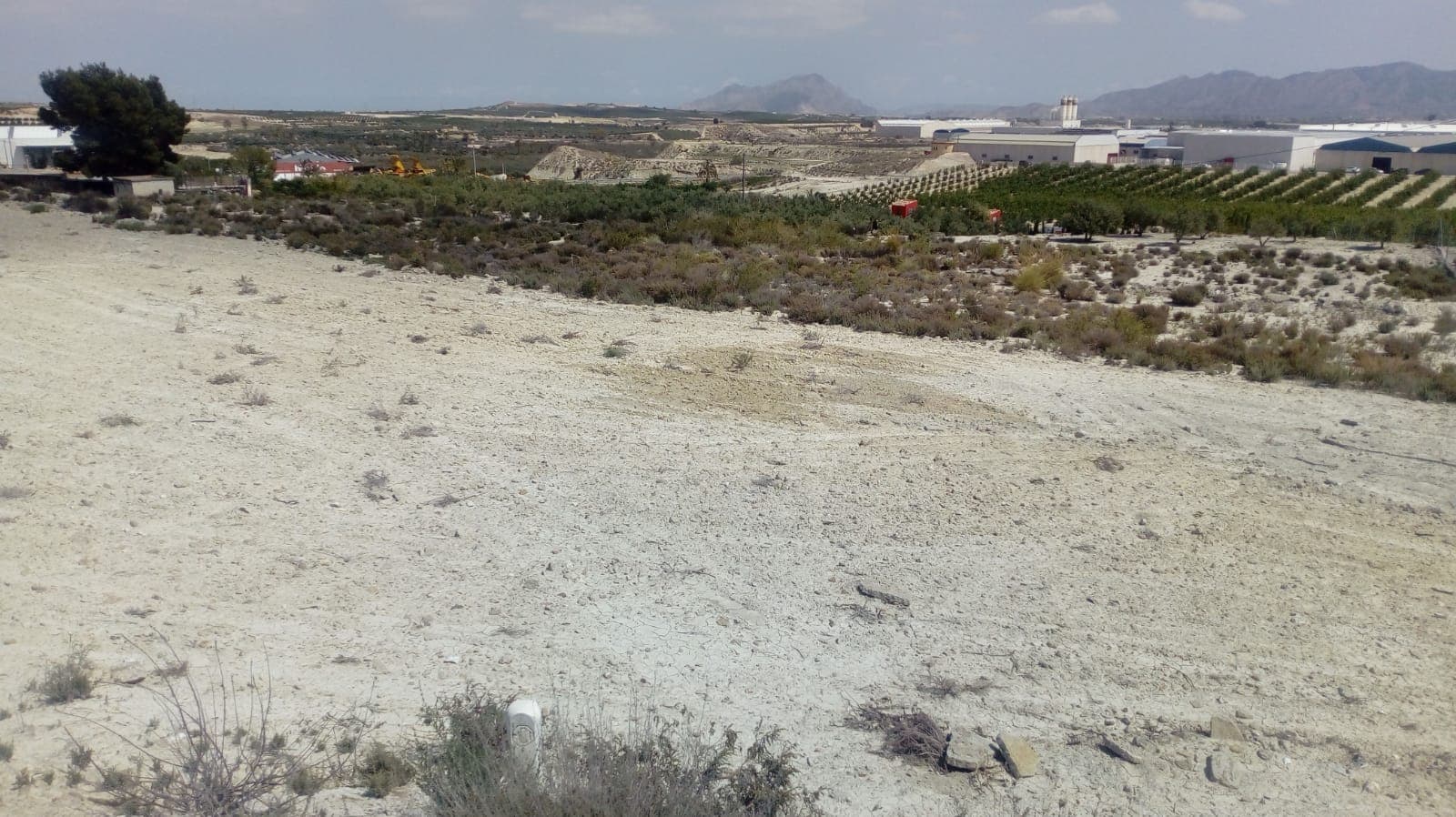 Parcela de 4500 metros cuadrados con agua de riego e iluminación pública, ubicada a una distancia de abanilla andando. Para una opción inmejorable, no dejes pasar esta oportunidad.Si le ha gustado esta propiedad, no dude en ponerse en contacto con nosotros para concertar una visita, estaremos encantados de ayudarle.Somos especialistas en la Costa Blanca y Costa Calida especializados en las regiones del interior de Alicante y Murcia, con un énfasis particular en Elda, Pinoso, Aspe, Elche y las zonas circundantes. Somos una empresa reconocida, reconocida y confiable que ha construido una sólida reputación entre compradores y vendedores desde que comenzamos a comercializar en 2004. Ofrecemos un servicio completo sin cargos ocultos ni sorpresas, comenzando con la adquisición de la propiedad hasta su finalización. y un servicio postventa incomparable que incluye administración de propiedades, servicios de construcción y ayuda y consejos generales para hacer de su nueva casa una casa. Con una cartera de más de 1400 propiedades en venta, confiamos en que podemos ayudar, así que solo háganos saber su propiedad, presupuesto y ubicación preferidos, y nosotros haremos el resto.