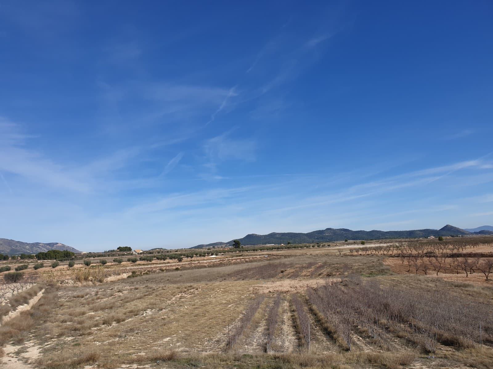 Esta parcela legal se encuentra en Pinoso. El punto de electricidad y agua está cerca de la parcela, pero no hay electricidad ni agua en este momento en la tierra. Podrás construir la casa de tus sueños en España y disfrutar de las hermosas vistas desde esta tierra. Somos especialistas en la Costa Blanca y Costa Cálida, y nos especializamos en las regiones del interior de Alicante y Murcia, con un énfasis particular en Elda, Pinoso, Aspe, Elche y sus alrededores. Somos una compañía establecida, conocida y confiable que ha construido una sólida reputación entre compradores y vendedores desde que comenzamos a comerciar en 2004. Ofrecemos un servicio completo sin cargos ocultos ni sorpresas, comenzando con el abastecimiento de la propiedad, hasta su finalización, y un servicio postventa inigualable que incluye administración de propiedades, servicios de construcción y ayuda y consejos generales para hacer de su nueva casa un hogar. Con una cartera de más de 1400 propiedades en venta, estamos seguros de que podemos ayudarlo, así que solo háganos saber su propiedad preferida, presupuesto y ubicación, y nosotros haremos el resto.