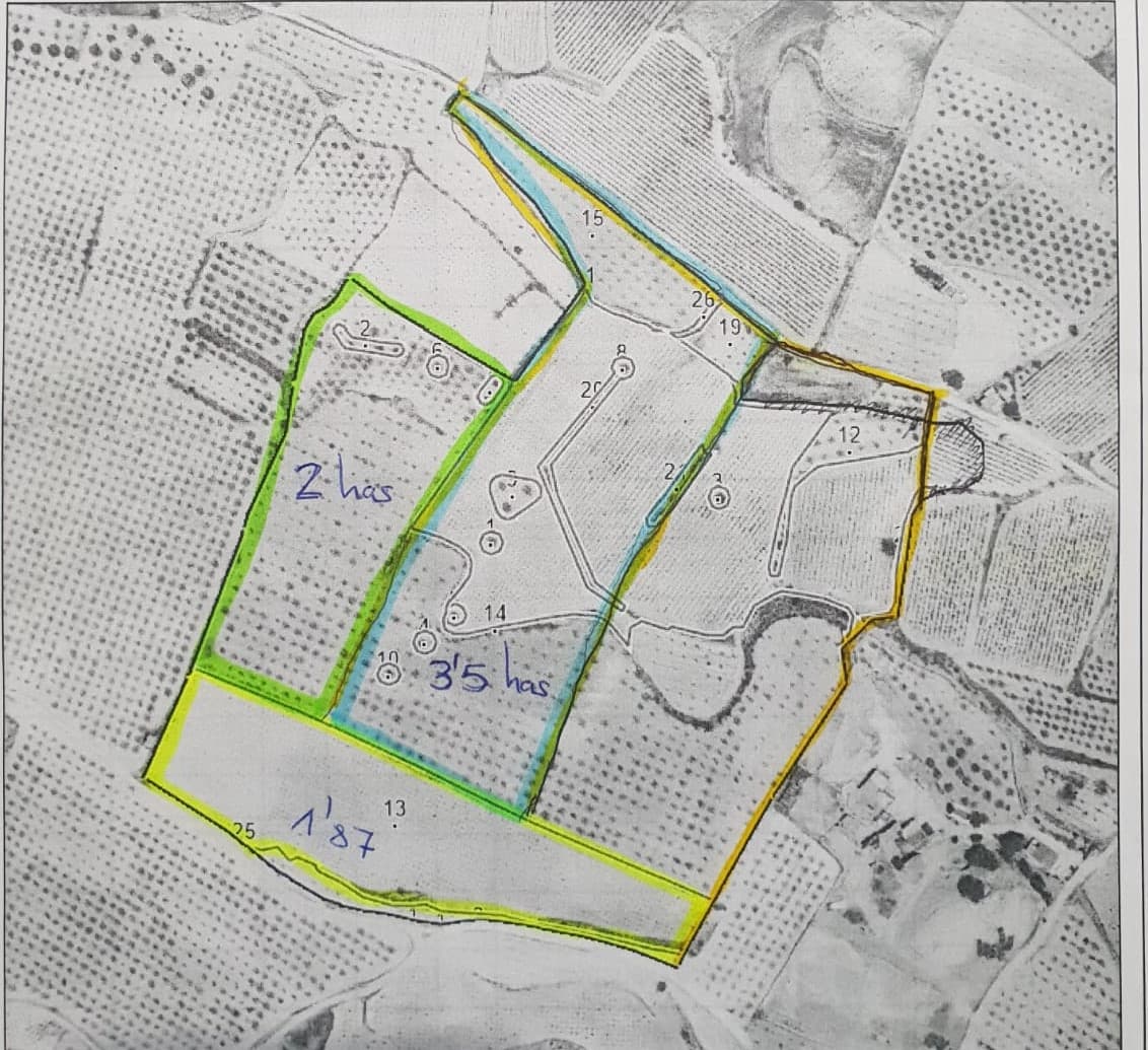 Gran parcela legal ubicada a poca distancia de la ciudad de Pinoso que ofrece todas sus instalaciones diarias. La trama se puede construir. La propiedad actualmente cuenta con agua de riego para toda la parcela (6 acciones de agua de riego). Sobre la electricidad está cerca de la parcela. Somos especialistas en la Costa Blanca y Costa Cálida, y nos especializamos en las regiones del interior de Alicante y Murcia, con un énfasis particular en Elda, Pinoso, Aspe, Elche y sus alrededores. Somos una compañía establecida, bien conocida y confiable que ha construido una sólida reputación entre compradores y vendedores desde que comenzamos a comerciar en 2004. Ofrecemos un servicio completo sin cargos ocultos ni sorpresas, comenzando con el abastecimiento de la propiedad, hasta su finalización, y un servicio postventa inigualable que incluye administración de propiedades, servicios de construcción y ayuda y consejos generales para hacer de su nueva casa un hogar. Con una cartera de más de 1400 propiedades en venta, estamos seguros de que podemos ayudarlo, así que háganos saber su propiedad, presupuesto y ubicación preferidos, y nosotros haremos el resto.