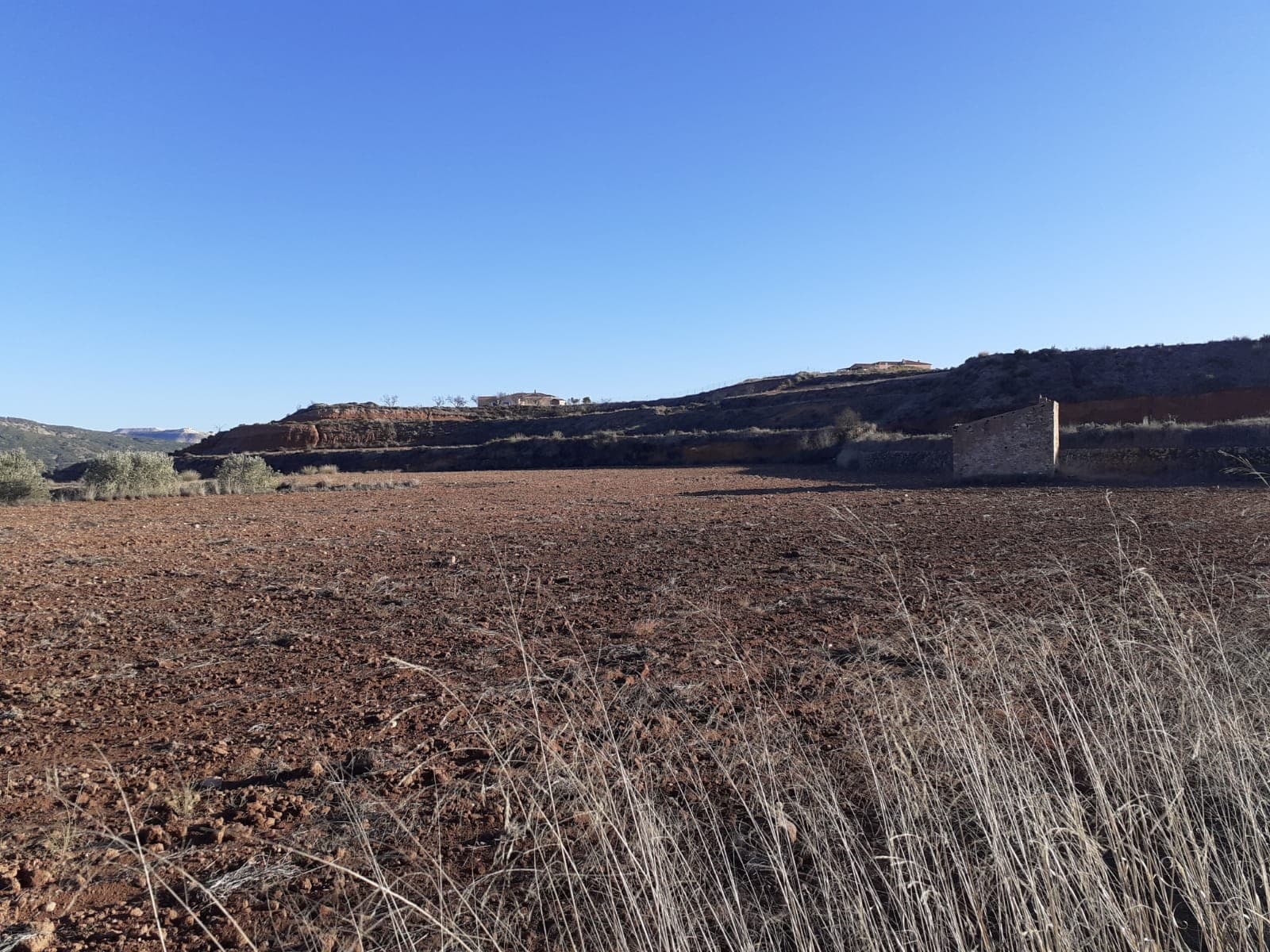 Terreno edificable ubicado a solo 3/4 km de la ciudad de Pinoso! Tiene agua de riego, y tiene luz cerca de la zona. Muy buen suelo y llano .. Con espectaculares vistas despejadas. Pinoso es la quinta ciudad más rica de España (per cápita). Su riqueza proviene de los depósitos de sal y mármol y del cultivo de almendras, aceitunas y uvas, estas últimas producen vinos de alta calificación disponibles para comprar a precios muy bajos en las muchas bodegas locales donde también se puede obtener el fantástico aceite de oliva de producción local. La riqueza de la ciudad se refleja en la calidad de los servicios locales, comodidades de primera clase y los impuestos sorprendentemente bajos que paga la población local. Las comodidades incluyen un moderno centro médico; centro deportivo; piscina; campo de fútbol; teatro; cuatro escuelas, cuatro supermercados y excelentes restaurantes, bares y cafeterías. Para aquellos que prefieren actividades más suaves, a poca distancia del pueblo, en las colinas, las autoridades han proporcionado una hermosa área de picnic entre los pinos, completa con parrillas, áreas para sentarse y agua corriente. También hay un animado mercado interior que se lleva a cabo dos veces por semana y los sábados, la adición de un mercado callejero trae gente de los pueblos de los alrededores para comprar sus productos, lo que hace que la plaza del mercado sea un hervidero de actividad social. Las fiestas abundan de mayo a septiembre en los pueblos y pequeñas ciudades de los alrededores, y la fiesta principal de Pinoso se celebra todos los años del 1 al 10 de agosto, un evento que no debe perderse. Durante 10 días, la gente viene de kilómetros a la redonda para disfrutar de las festividades, ver los desfiles y bailar hasta el amanecer. La ciudad de Elda & Petrer está a 20 minutos en coche, tiene un gran hospital con médicos de habla inglesa, una gran variedad de bares y restaurantes, un centro comercial cubierto, un gran gimnasio internacional, Carrefour, Aldi, Lidl, cine con películas en inglés que se proyectan semanalmente, puntos de venta de comida rápida. El costo de vida aquí sigue siendo bajo y apreciará el excelente nivel de vida que ofrece esta área sin estar en una ruta turística. Sin embargo, tener las grandes ciudades de Alicante y Elche, el aeropuerto de Alicante y kilómetros de playas de arena dorada a menos de 55 km significa que puede disfrutar de lo mejor que la región tiene para ofrecer mientras se sumerge en la verdadera cultura y tradiciones españolas. Somos especialistas en la Costa Blanca y Costa Cálida con especialización en el interior de Alicante y Murcia con especial énfasis en Elda, Pinoso, Aspe, Elche y alrededores. Somos una empresa establecida, bien conocida y de confianza que ha construido una sólida reputación entre compradores y vendedores desde que comenzamos a comercializar en 2004. Ofrecemos un servicio completo sin cargos ocultos ni sorpresas, comenzando con el abastecimiento de la propiedad, hasta su finalización. y un servicio postventa inigualable que incluye administración de propiedades, servicios de construcción y ayuda y asesoramiento general para hacer de su nueva casa un hogar. Con una cartera de más de 1400 propiedades a la venta, estamos seguros de que podemos ayudar, así que háganos saber su propiedad preferida, presupuesto y ubicación, y nosotros haremos el resto.