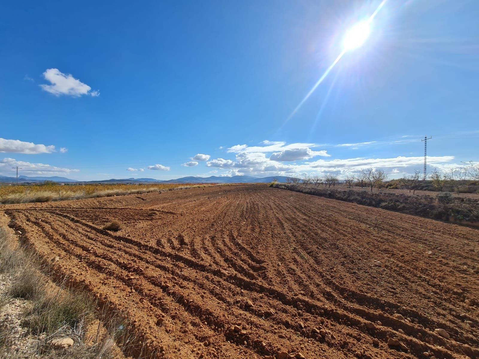 Disponemos de una amplia cartera de propiedades en las zonas de la Costa Blanca y la Costa Cálida, especializada en fincas, villas, fincas, solares edificables y opciones de diseño y construcción en las regiones de Alicante y Murcia, con especial énfasis en Elda, Monovar, Pinoso, Sax , Villena, Aspe, Fortuna, Albacete y muchos más alrededores. Estamos establecidos desde 2004 y tenemos décadas de experiencia entre el equipo que aportamos para ayudarlo a encontrar y asegurar la nueva casa de sus sueños. Te ayudamos en cada paso del camino para asegurarnos de que tu compra en España sea segura y sin complicaciones. No estamos aquí para venderle una propiedad, estamos aquí para ayudarlo a realizar su sueño y encontrar lo que es adecuado para usted. Con nosotros estás en las manos más seguras. Contáctenos ahora para tener una charla sin compromiso sobre cómo usted también puede realizar sus sueños.