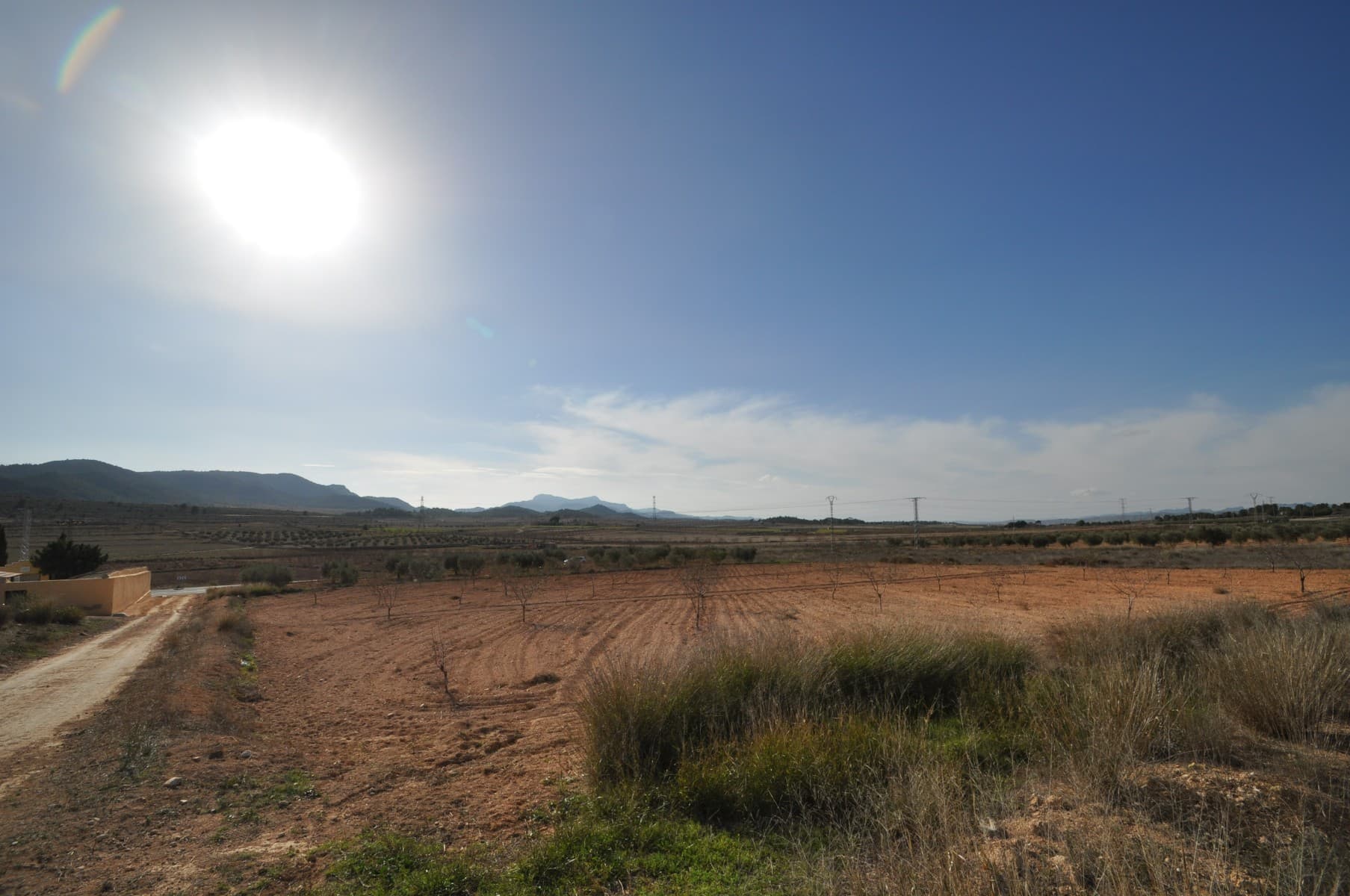 Esta es una parcela edificable totalmente legal ubicada aproximadamente a 7 minutos a las afueras de la ciudad de Pinoso. La mitad de la parcela está plantada de almendros y la otra parte de matorral. Excelente acceso, a solo 20 m de una carretera asfaltada. La parcela está ubicada en las afueras del pueblo y tiene agua y electricidad muy cerca; ninguna de las dos debería ser demasiado difícil o costosa de conectar. Si está interesado, podemos ayudarlo a obtener cotizaciones como condición de compra. En esta parcela puede construir una casa de 250 metros cuadrados en un nivel o puede construir una casa de dos niveles con 200 metros cuadrados por piso, lo que le da un área total de construcción de 400 metros cuadrados. Lo bueno de esta parcela es que se encuentra a poca distancia del pueblo local que tiene un bar y un restaurante, así como una escuela primaria y un centro médico que abre una vez a la semana. Sus principales instalaciones para el día de hoy serán en el pueblo de Pinoso que se encuentra aproximadamente a 7 minutos donde podrá encontrar supermercados, bares, restaurantes, tiendas, etcétera. Hemos estado diseñando y construyendo casas en el área desde 2004 y, como tal, tenemos una gran cantidad de conocimientos y experiencia que podemos aportar para ayudarlo a realizar la nueva casa de sus sueños. Lo ayudamos tanto o tan poco como lo desee, desde simplemente comprar la parcela hasta ayudarlo con el permiso de planificación para gestionar el proyecto de construcción por usted. Tenemos más de 150 parcelas, si desea hacer arreglos para ver esta parcela y otras ideas, no dude en contactarnos. Esperamos poder ayudarlo a dar un paso más hacia la realización de su sueño. Disponemos de una amplia cartera de propiedades en las zonas de la Costa Blanca y la Costa Cálida, especializada en fincas, villas, fincas, solares edificables y opciones de diseño y construcción en las regiones de Alicante y Murcia, con especial énfasis en Elda, Monovar, Pinoso, Sax , Villena, Aspe, Fortuna, Albacete y muchos más alrededores. Estamos establecidos desde 2004 y tenemos décadas de experiencia entre el equipo que aportamos para ayudarlo a encontrar y asegurar la nueva casa de sus sueños. Te ayudamos en cada paso del camino para asegurarnos de que tu compra en España sea segura y sin complicaciones. No estamos aquí para venderle una propiedad, estamos aquí para ayudarlo a realizar su sueño y encontrar lo que es adecuado para usted. Con nosotros estás en las manos más seguras. Contáctenos ahora para tener una charla sin compromiso sobre cómo usted también puede realizar sus sueños.