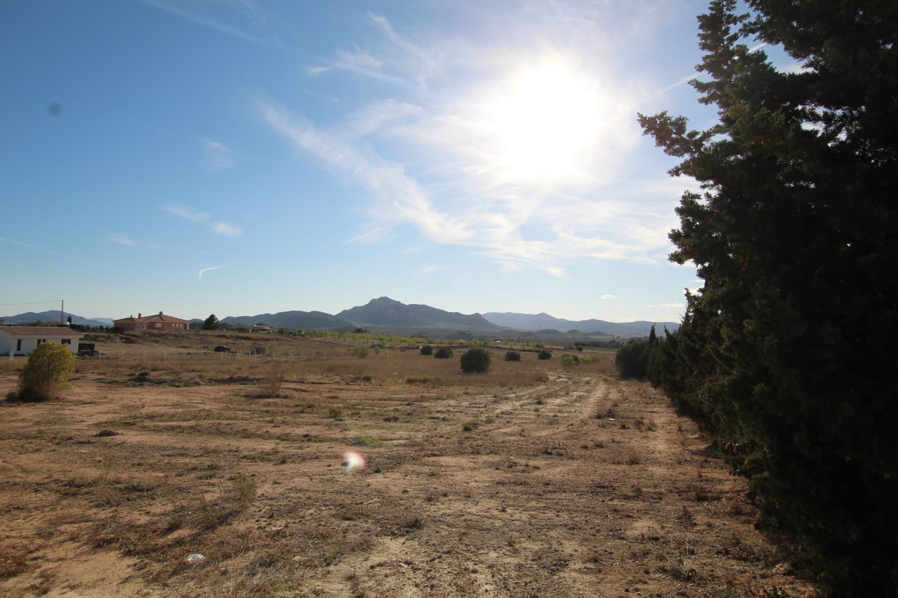 Bienvenidos a esta increíble parcela, enclavada en un precioso entorno rural y residencial, a un paso del encantador pueblo de Sax y de la autovía Alicante-Madrid A31. Con un tamaño de lote de 1100 m2, tendrá mucho espacio para construir la casa de sus sueños. Esta parcela cuenta con acceso directo desde una carretera pavimentada, lo que facilita el transporte. Y con 220 m2 de edificabilidad disponibles, tendrás todo el espacio que necesitas para crear tu hogar ideal. Además, esta propiedad tiene un enorme potencial. Cumple con todas las normativas urbanísticas, lo que permite edificar hasta un 2% de la superficie del suelo. Esto significa que realmente puede dejar volar su imaginación y crear un hogar que se adapte perfectamente a su estilo de vida y necesidades. En la entrada de la parcela, encontrará acceso tanto a la electricidad como al agua, lo que hace que el proceso de construcción sea muy sencillo. Con todas estas características increíbles, este terreno es realmente un lienzo en blanco que está esperando que crees tu obra maestra. Entonces, ¿por qué esperar? Venga a ver este increíble terreno hoy y comience a construir la casa de sus sueños mañana. Con tanto potencial, el cielo es el límite. Disponemos de una amplia cartera de propiedades en las zonas de la Costa Blanca y la Costa Cálida , especializándonos en fincas rústicas , villas, fincas , solares edificables y opciones de diseño y construcción en las regiones de Alicante y Murcia, con especial énfasis en Elda, Monovar , Pinoso , Sax , Villena , Aspe , Fortuna , Albacete y muchos más alrededores. Hemos estado establecidos desde 2004 y tenemos décadas de experiencia entre el equipo que aportamos para ayudarlo a encontrar y asegurar la nueva casa de sus sueños . Te ayudamos en cada paso del camino para asegurarnos de que tu compra en España sea segura y sin complicaciones. No estamos aquí para venderle una propiedad, estamos aquí para ayudarlo a realizar su sueño y encontrar lo que es adecuado para usted. Con nosotros estás en buenas manos . Contáctenos ahora para tener una charla sin compromiso sobre cómo usted también puede realizar sus sueños.