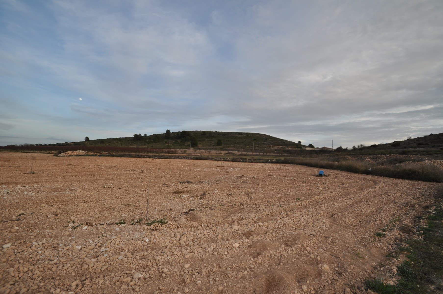 Presentamos una extraordinaria parcela de terreno ubicada en las afueras de la ciudad, que ofrece un generoso tamaño de 17398 metros cuadrados. Este terreno presenta una oportunidad excepcional para aquellos que buscan un lienzo en blanco para construir la propiedad de sus sueños o invertir en un proyecto de desarrollo prometedor. Una de las características sobresalientes de esta parcela es su acceso a los servicios básicos. Las conexiones de agua y electricidad están fácilmente disponibles, lo que facilita significativamente el proceso de establecimiento de infraestructura y servicios. Situado a pocos kilómetros de la ciudad, este terreno se beneficia de una ubicación estratégica que combina la tranquilidad de la vida rural con la comodidad de los servicios cercanos. Tendrá la ventaja de disfrutar de un entorno tranquilo y al mismo tiempo tener fácil acceso a tiendas, escuelas, centros de salud y otros servicios que se ofrecen en la ciudad. Ya sea que imagine construir una casa familiar espaciosa, establecer una empresa comercial o embarcarse en un proyecto de desarrollo innovador, este terreno ofrece infinitas posibilidades. El tamaño expansivo garantiza un amplio espacio para varios propósitos, como la creación de hermosos jardines, el establecimiento de áreas recreativas o incluso la construcción de estructuras adicionales. Si ha estado buscando un entorno idílico para hacer realidad su visión, este terreno con su tamaño considerable, ubicación conveniente y acceso a los servicios básicos es una oportunidad que no debe perderse. Contáctenos hoy para explorar el potencial y asegurar su futuro en esta ubicación excepcional. Disponemos de una amplia cartera de propiedades en las zonas de la Costa Blanca y la Costa Cálida, especializada en fincas, villas, fincas, solares edificables y opciones de diseño y construcción en las regiones de Alicante y Murcia, con especial énfasis en Elda, Monovar, Pinoso, Sax , Villena, Aspe, Fortuna, Albacete y muchos más alrededores. Estamos establecidos desde 2004 y tenemos décadas de experiencia entre el equipo que aportamos para ayudarlo a encontrar y asegurar la nueva casa de sus sueños. Te ayudamos en cada paso del camino para asegurarnos de que tu compra en España sea segura y sin complicaciones. No estamos aquí para venderle una propiedad, estamos aquí para ayudarlo a realizar su sueño y encontrar lo que es adecuado para usted. Con nosotros estás en las manos más seguras. Contáctenos ahora para tener una charla sin compromiso sobre cómo usted también puede realizar sus sueños.