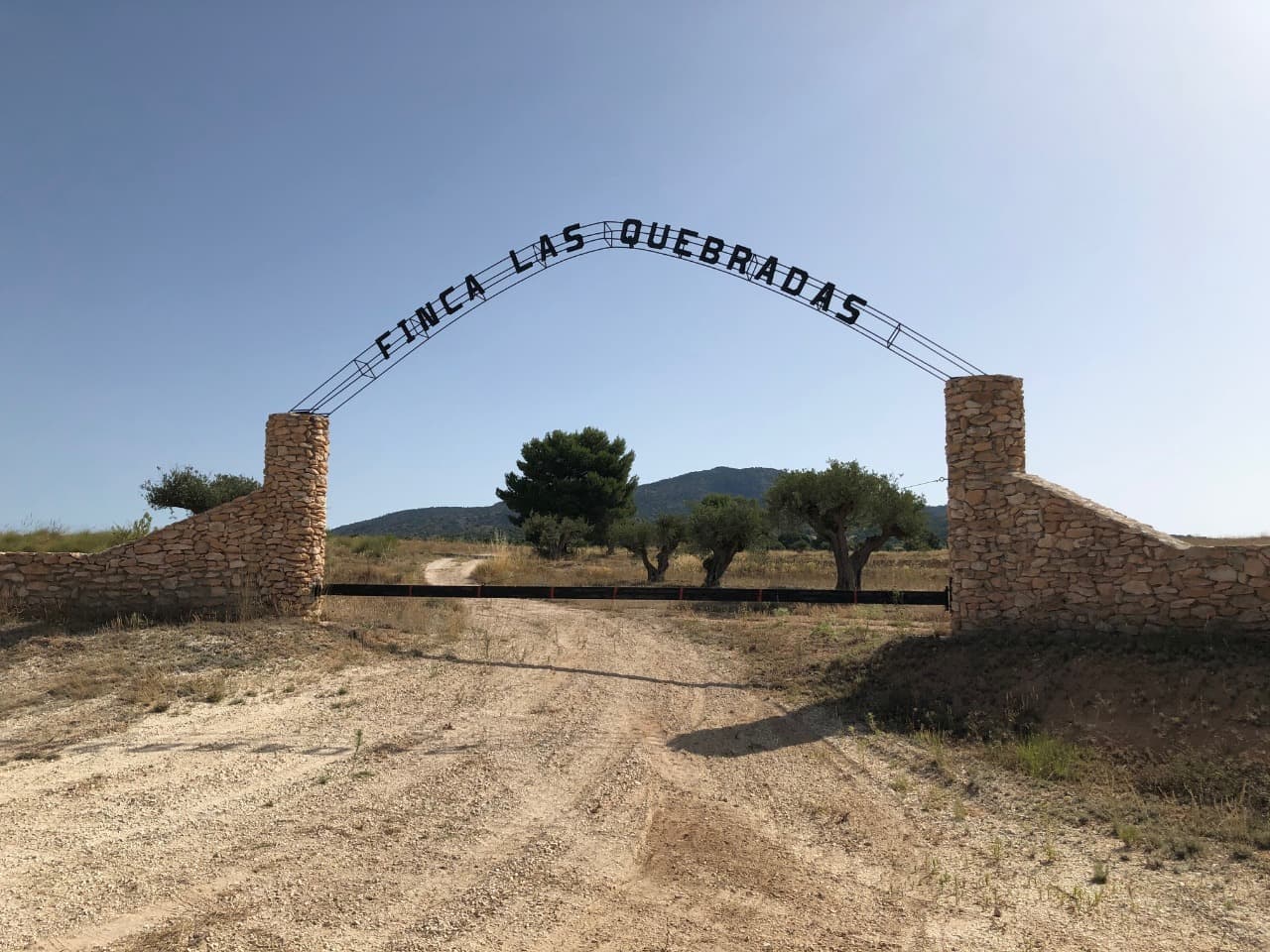 Finca Las Quebradas entre Pinoso y Yecla. Esta amplia propiedad cerca del parque natural Sierra Salinas en Las Quebradas (Yecla) ofrece una excelente oportunidad de inversión en una zona tranquila y no minera con impresionantes vistas de 360º. El terreno cubre un total de 407.580 m², incluidos 82.803 m² de plantación de almendros, 5.589 m² de olivos, 5.594 m² de monte bajo y 313.594 m² de tierra cultivada adecuada para el cultivo de cereales, viñedos, olivos, almendras u otros cultivos. La propiedad está aprobada para la construcción y tiene acceso a electricidad con un transformador cercano. Aunque actualmente carece de agua potable y de riego, existe la posibilidad de solicitar un permiso de pozo de hasta 7.000 m³ para uso doméstico o animal. El acceso es cómodo a través de una carretera asfaltada bien mantenida, con casas vecinas que se suman al encanto rural y tranquilo. Los servicios esenciales están disponibles en la cercana localidad de Pinoso, a solo 5 km de distancia. Contamos con una amplia cartera de propiedades en las zonas de la Costa Blanca y Costa Cálida, especializándonos en propiedades en el campo, villas, fincas, parcelas edificables y opciones de diseño y construcción en las regiones de Alicante y Murcia, con especial énfasis en Elda, Monovar, Pinoso, Sax, Villena, Aspe, Fortuna, Albacete y muchas más áreas circundantes. Estamos establecidos desde 2004 y contamos con décadas de experiencia entre el equipo que ponemos a su disposición para ayudarle a encontrar y asegurar la nueva casa de sus sueños. Le ayudamos en cada paso del proceso para asegurarnos de que su compra en España sea segura y sin complicaciones. No estamos aquí para venderle una propiedad, estamos aquí para ayudarle a hacer realidad su sueño y encontrar lo que es adecuado para usted. Con nosotros está en las mejores manos. Póngase en contacto con nosotros ahora para tener una charla sin compromiso sobre cómo usted también puede hacer realidad sus sueños.