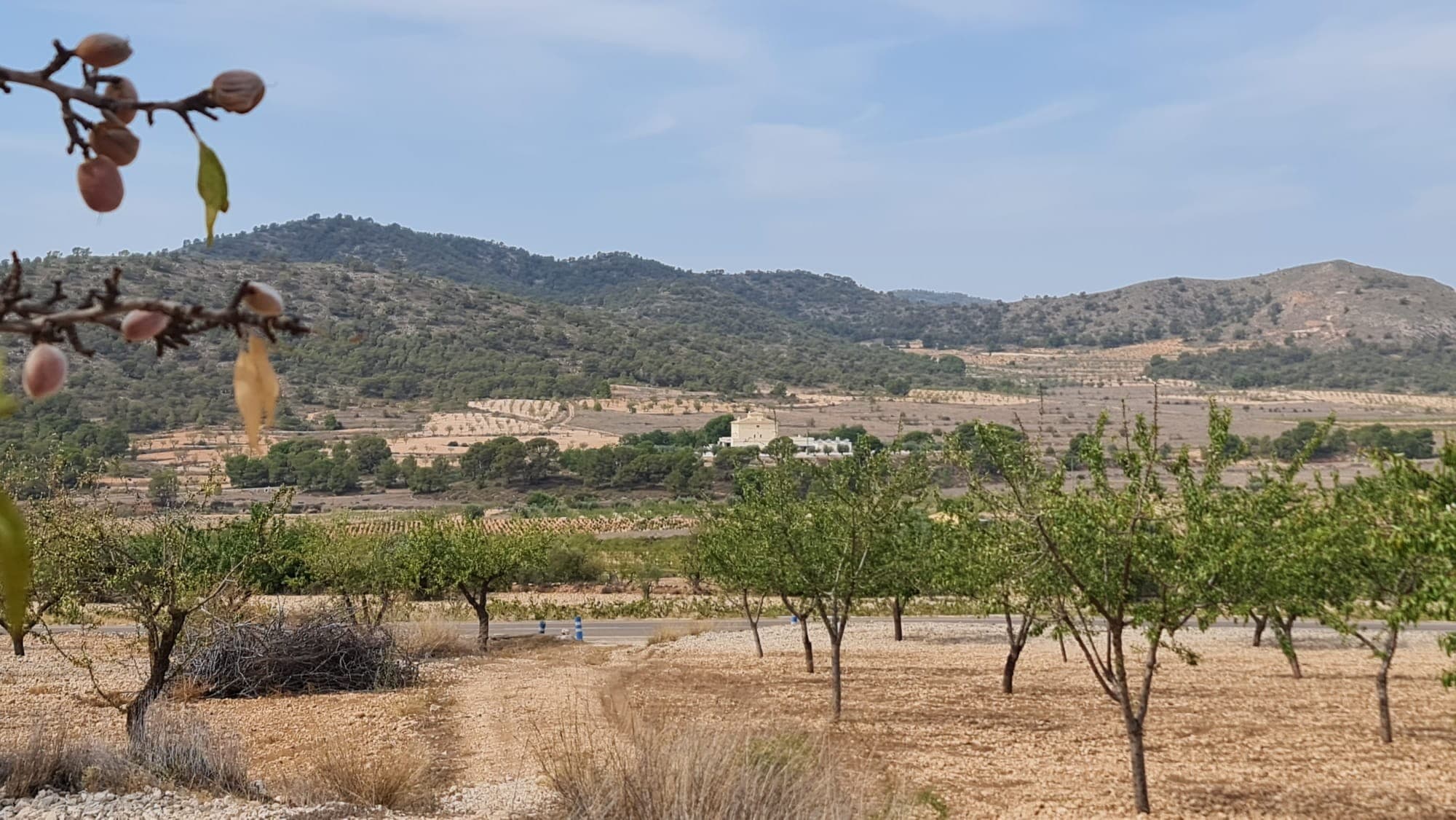 Esta parcela de 7.558 m² ofrece un entorno tranquilo con hermosas vistas a Algueña y las montañas circundantes. Ubicada a poca distancia del pueblo, combina comodidad con un ambiente natural. La propiedad incluye almendros y es fácilmente accesible por una carretera en buen estado. Este terreno ofrece una excelente oportunidad de desarrollo en una ubicación privilegiada. Aproveche esta oportunidad para crear su espacio ideal en una zona pintoresca y accesible. Si te ha gustado esta propiedad no dudes en contactarnos para organizar una visita, estaremos encantados de ayudarte!