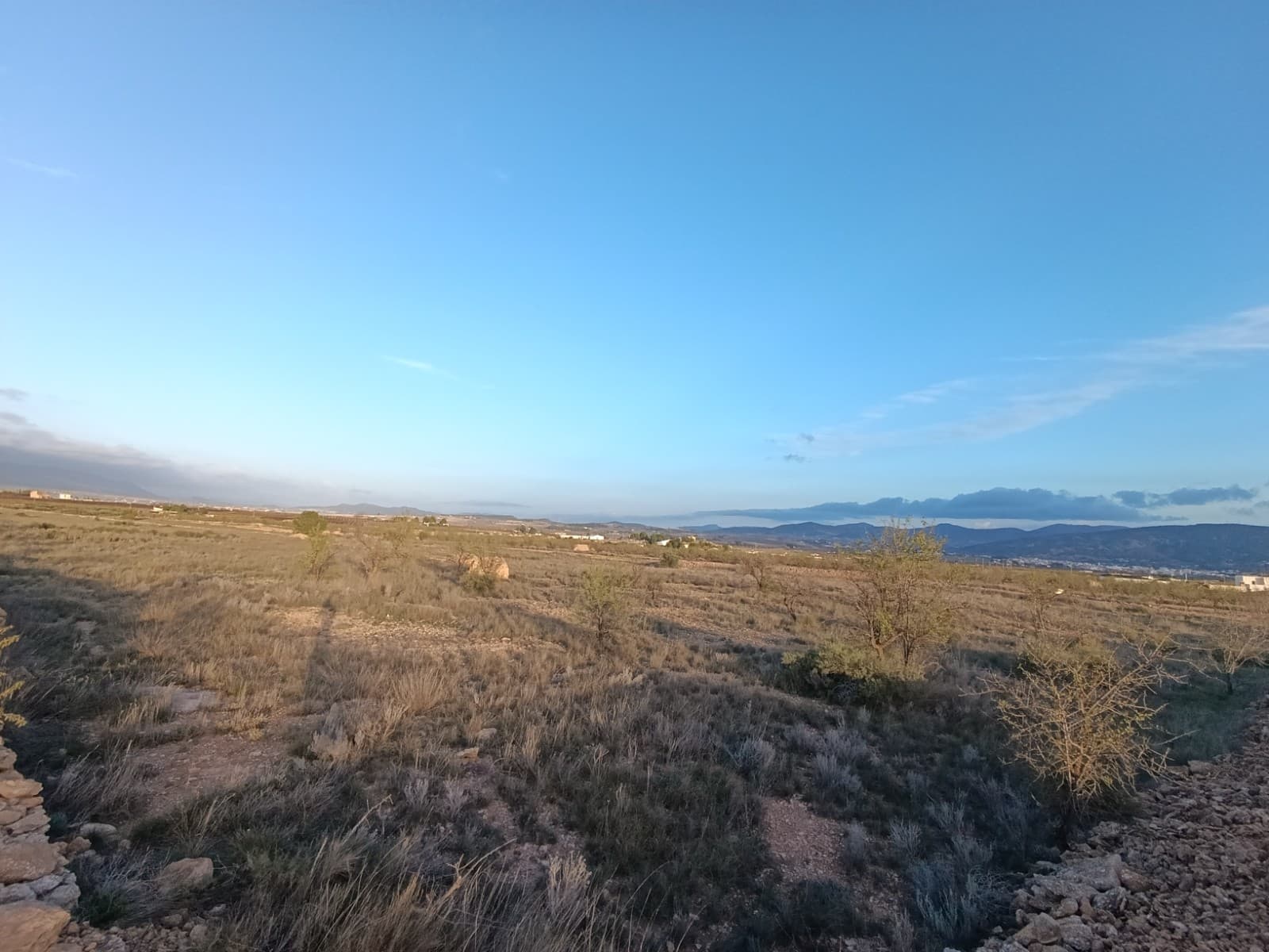 Espaciosa parcela de 18.589 m² a tan solo 10 minutos de Pinoso, que ofrece impresionantes vistas a las montañas circundantes. Este terreno es amplio, versátil y está listo para el desarrollo, lo que lo hace perfecto para quienes buscan construir una casa personalizada o establecer un proyecto único en un entorno tranquilo. Su ubicación combina la tranquilidad de la naturaleza con la comodidad de estar cerca de los servicios locales. Ideal para crear su propio refugio o una oportunidad de inversión. Si te ha gustado esta propiedad no dudes en contactarnos para organizar una visita, estaremos encantados de ayudarte!