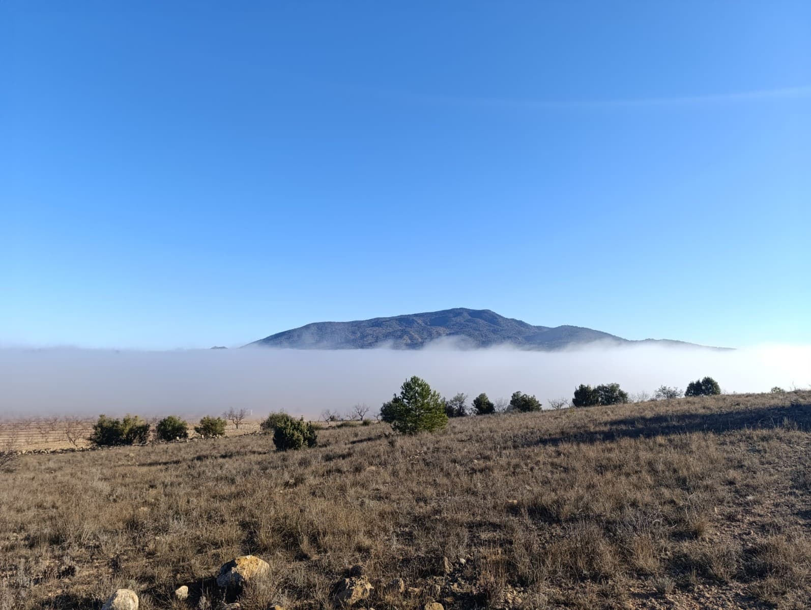 Esta amplia parcela de 9.197 m² se encuentra en la impresionante zona de La Sierra del Carche y ofrece impresionantes vistas del paisaje circundante. Por su tamaño y ubicación, este terreno ofrece una variedad de oportunidades, ya sea que esté buscando instalar una casa móvil o utilizarla para fines agrícolas. La propiedad se beneficia de un buen acceso, lo que la hace fácil de alcanzar y práctica para diversos usos. Su entorno tranquilo y su belleza natural la convierten en una opción ideal para quienes buscan tranquilidad sin dejar de estar conectados con los servicios cercanos. Este terreno es una gran inversión para quienes buscan crear un refugio único o trabajar en un proyecto en un entorno sereno y pintoresco. Contáctenos para obtener más información o para programar una visita. Si te ha gustado esta propiedad no dudes en contactarnos para organizar una visita, estaremos encantados de ayudarte!
