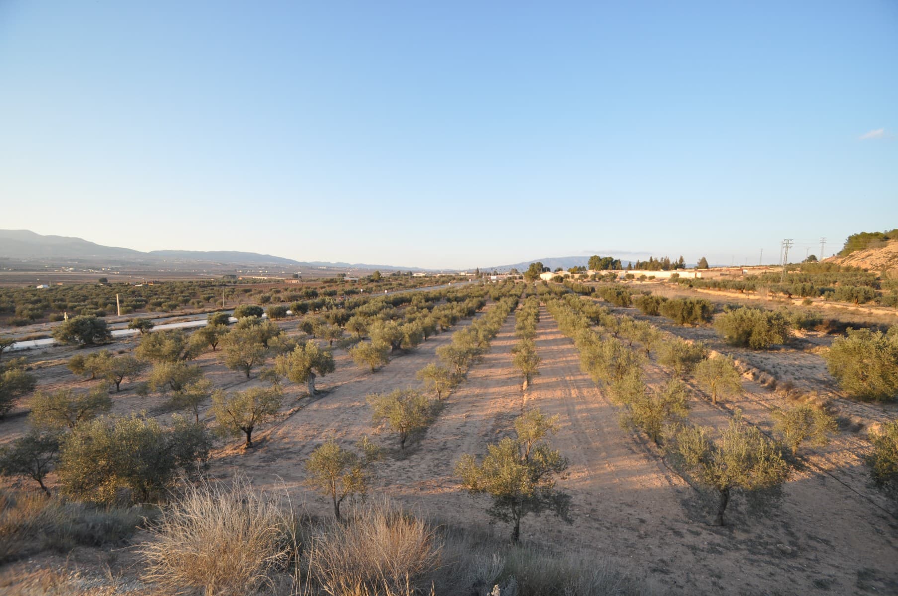Esta parcela de 13.020m² se encuentra en una ubicación fantástica, cerca de la ciudad y justo al lado de la montaña, ofreciendo comodidad y belleza natural. Tenga en cuenta: El terreno se vende sin los olivos . Sin embargo, si lo que interesa es incluir los aproximadamente 300 olivos , el precio total sería de 75.000 € . Una pequeña edificación en la propiedad ofrece espacio de almacenamiento o potencial para otros usos. Gracias a su excelente ubicación y terreno versátil, esta es una gran oportunidad si busca dedicarse a la agricultura o simplemente disfrutar de un entorno rural tranquilo. Si está interesado en esta propiedad, no dude en contactarnos para concertar una visita. ¡Estaremos encantados de ayudarle!