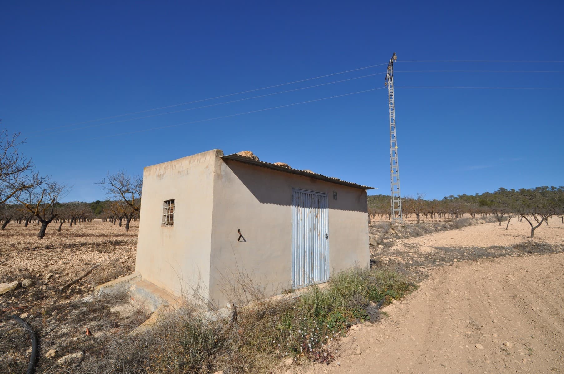 Esta parcela de 12.836 m² es una gran opción para quienes buscan un terreno bien cuidado con recursos existentes. Cuenta con aproximadamente 220 almendros, un pequeño cobertizo de almacenamiento con un tanque de agua y un suministro de agua de riego ya instalado. La propiedad es de fácil acceso y ofrece hermosas vistas, lo que la hace ideal para uso agrícola o desarrollo futuro. Una inversión práctica y bien ubicada con servicios esenciales en su lugar. Si te ha gustado esta propiedad no dudes en contactarnos para organizar una visita, estaremos encantados de ayudarte!