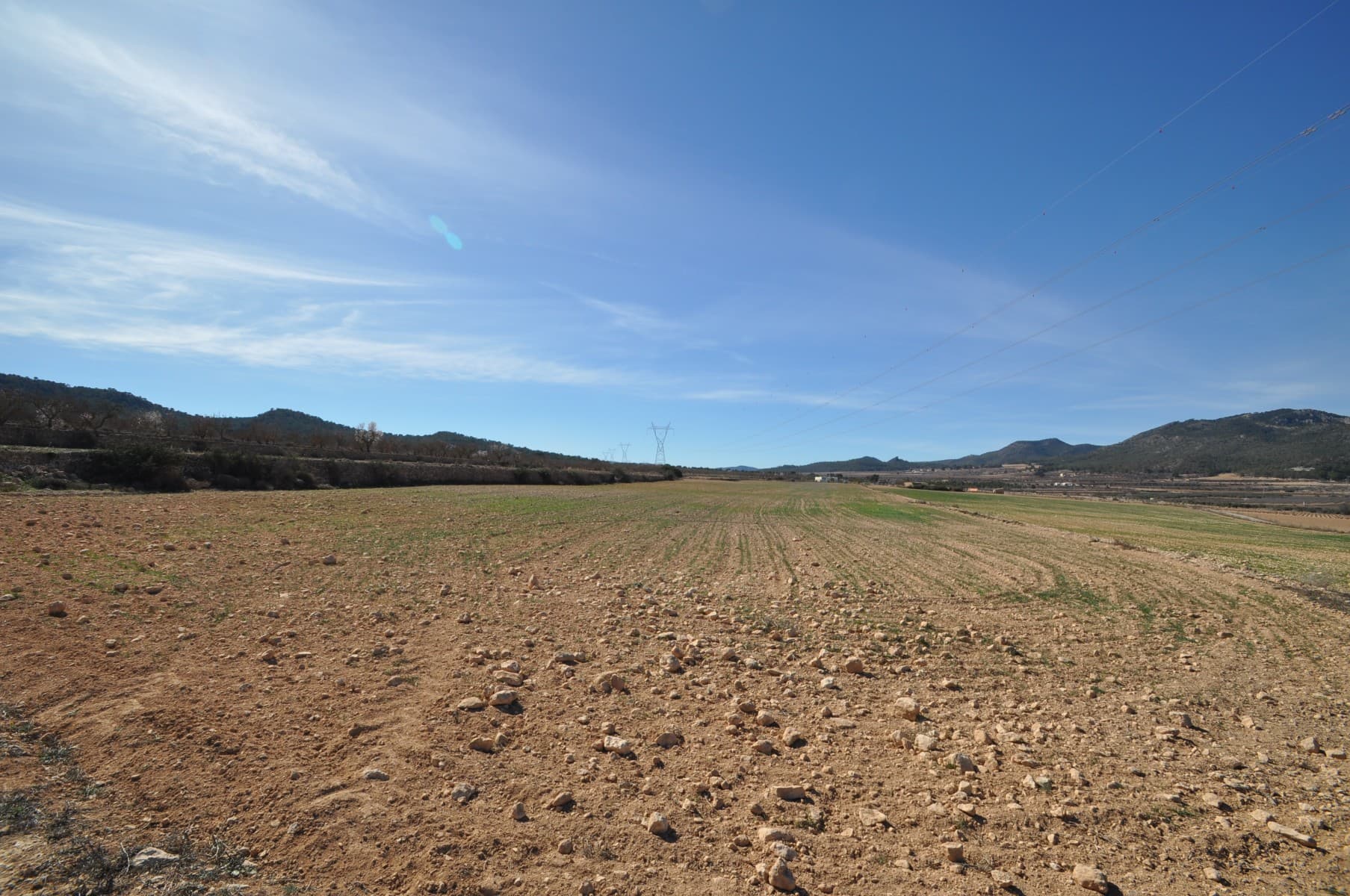 Esta gran propiedad de 26,439 m² es una gran oportunidad para quienes buscan espacio, comodidad y accesibilidad. Ubicado a solo cinco minutos de Salinas, el lote ofrece fácil acceso y una configuración sencilla para el agua y la electricidad. La posición elevada ofrece excelentes vistas del área circundante, lo que lo convierte en una excelente opción para un proyecto residencial, comercial o de inversión. Si te ha gustado esta propiedad no dudes en contactarnos para organizar una visita, estaremos encantados de ayudarte!