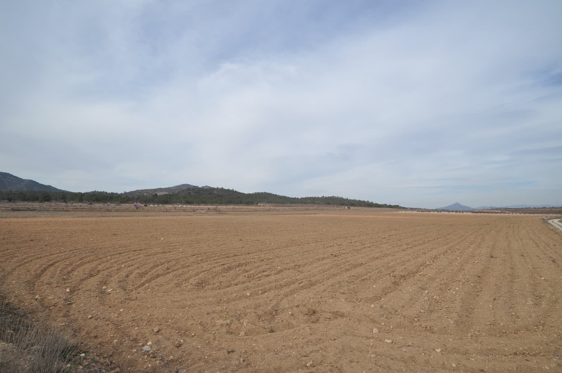 Se vende amplia parcela de 33.880 m² con instalación de agua, perfecta para quienes buscan espacio y tranquilidad cerca de la naturaleza. Es de fácil acceso, ubicada a lo largo de un camino bien mantenido, con asfalto llegando casi hasta la entrada. La propiedad ofrece excelentes vistas y un entorno natural tranquilo. A tan solo 5 minutos de Salinas y 10 minutos de Monóvar, esta ubicación le ofrece la privacidad del campo a la vez que está cerca de todos los servicios esenciales. Una gran oportunidad para desarrollar un proyecto a su medida en un entorno inmejorable. Si te ha gustado esta propiedad no dudes en contactarnos para organizar una visita, estaremos encantados de ayudarte!