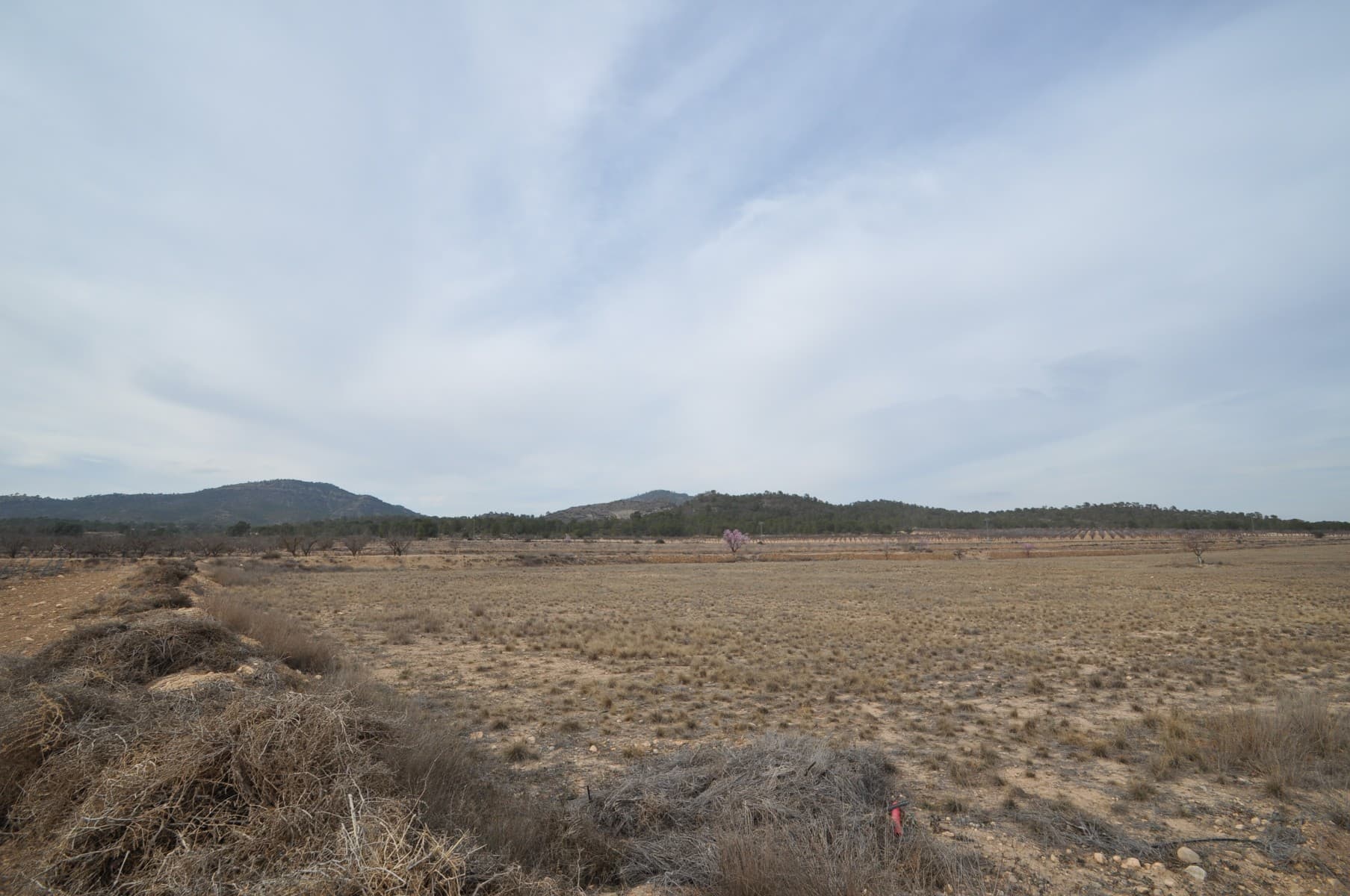 Amplia parcela de 23.160 m² en venta, que ofrece excelentes vistas y un entorno natural tranquilo cerca de las montañas. Con un suministro de agua confiable, esta propiedad es ideal para la agricultura, la jardinería o para comenzar un nuevo proyecto. Ubicado a sólo 5 minutos de Salinas y 10 minutos de Monovar, proporciona el equilibrio perfecto entre la tranquilidad rural y el fácil acceso a las poblaciones cercanas y servicios esenciales. Si te ha gustado esta propiedad no dudes en contactarnos para organizar una visita, estaremos encantados de ayudarte!