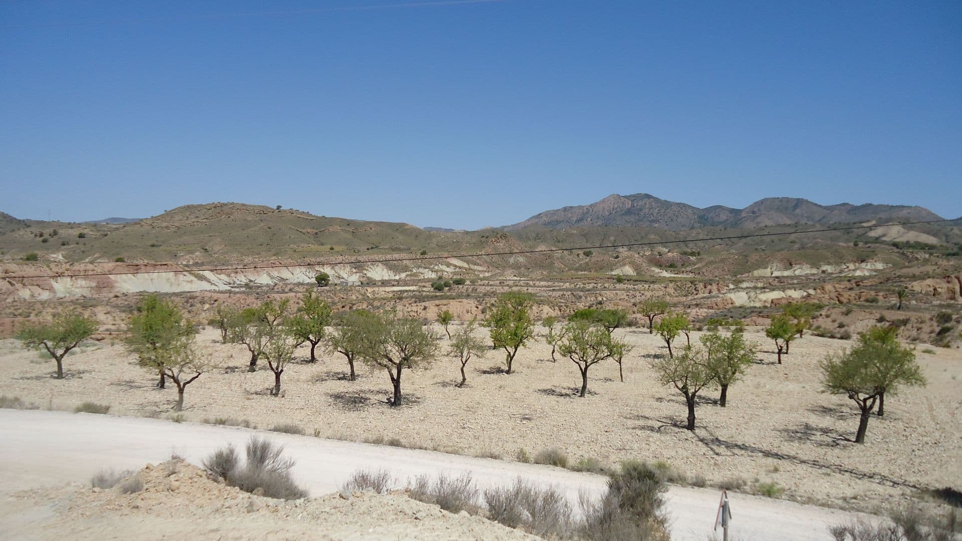 Spacious 8,424 m² buildable plot in El Tollé, Abanilla, with the possibility of water and electricity connections. The land is planted with almond trees and pines, offering a natural and peaceful setting.Located next to a public road for easy access, the property also features panoramic views, making it an excellent option for building a home or developing a personal project.If you liked this property, do not hesitate to contact us to organize a visit, we will be happy to help you!