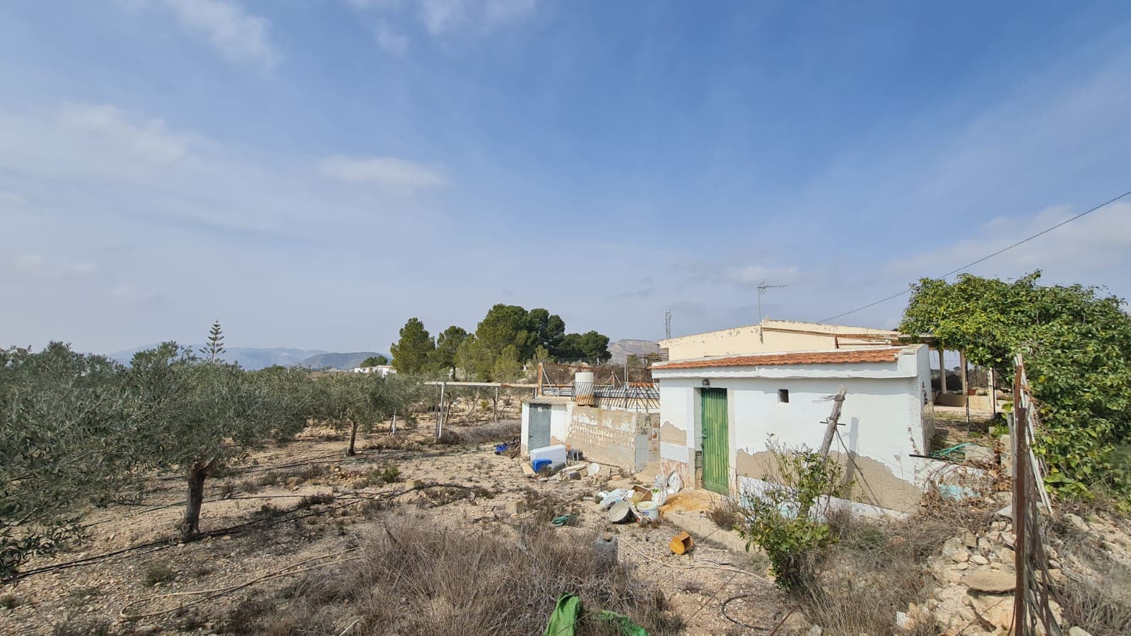 En venta: Encantador chalet en La Romana Este antiguo chalet con piscina y amplio jardín ofrece privacidad y relajación con pintorescas vistas en la tranquila zona rural de La Romana. Ya sea una casa de retiro de fin de semana, una casa de retiro o un cambio total de estilo de vida, con un poco de trabajo este chalet puede convertirse en una casa de ensueño. Características de la propiedad: Chalet de 72 m², dispone de 2 habitaciones, un baño, cocina equipada, balcón con agradables vistas a la montaña y acogedor salón con chimenea. Luz de red, agua potable y de riego. La construcción se encuentra en buen estado. Acceso por camino de tierra. Junto al chalet hay una gran piscina con sistema de filtración en funcionamiento y un trastero. La parcela ofrece más de 5900 m² (totalmente vallada) con árboles frutales y olivos, sistema de riego y mucho espacio para cultivar o diseñar jardines, lo que permite una autosuficiencia parcial y un estilo de vida con bajos gastos. Sobre la zona La Romana es una ciudad encantadora conocida por su tranquilo entorno rural y por su conveniente proximidad a ciudades más grandes y la costa. Rodeada de viñedos y almendros, ofrece un estilo de vida relajado con un fuerte sentido de comunidad. Los servicios esenciales, tiendas, restaurantes y escuelas están a poca distancia, y el aeropuerto de Alicante está a un corto trayecto en coche. Esta es una excelente oportunidad de poseer una casa a estrenar en una ubicación tranquila pero bien comunicada. ¡Contáctenos hoy para más detalles o para concertar una visita! Contamos con una amplia cartera de propiedades en las zonas de la Costa Blanca y Costa Cálida, especializándonos en propiedades en el campo, villas, fincas, parcelas edificables y opciones de diseño y construcción en las regiones de Alicante y Murcia, con especial énfasis en Elda, Monovar, Pinoso, Sax, Villena, Aspe, Fortuna, Albacete y muchas más áreas circundantes. Estamos establecidos desde 2004 y contamos con décadas de experiencia entre el equipo que ponemos a su disposición para ayudarle a encontrar y asegurar la nueva casa de sus sueños. Le ayudamos en cada paso del proceso para asegurarnos de que su compra en España sea segura y sin complicaciones. No estamos aquí para venderle una propiedad, estamos aquí para ayudarle a hacer realidad su sueño y encontrar lo que es adecuado para usted. Con nosotros está en las mejores manos. Póngase en contacto con nosotros ahora para tener una charla sin compromiso sobre cómo usted también puede hacer realidad sus sueños.