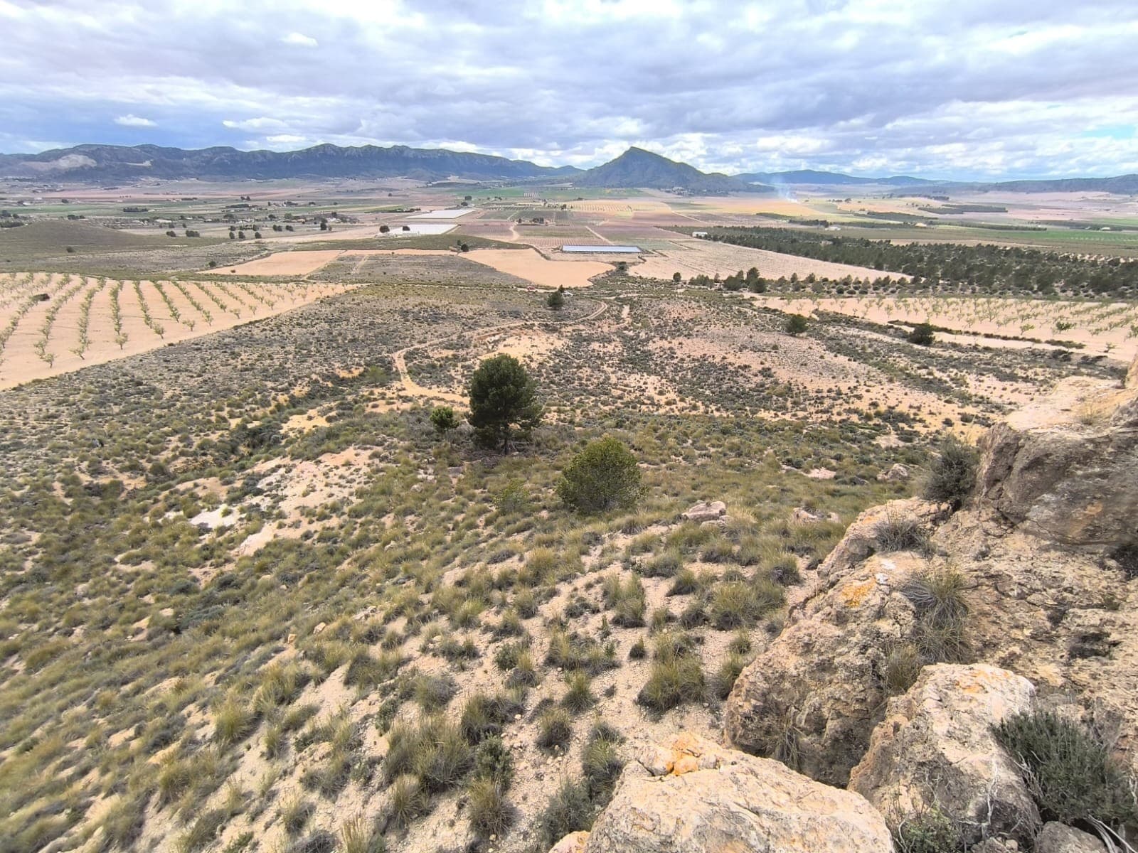 Se vende: Terreno de 80.000 m². El terreno cuenta con barbecho en una ladera y parte de una zona montañosa con vistas espectaculares. Además, cuenta con un manantial de agua, que podría aprovecharse. Rodeada de una naturaleza serena y a pocos minutos en coche del pueblo de Yecla, esta propiedad ofrece diversas posibilidades a un precio muy bajo. El terreno podría utilizarse para la construcción de una villa (es edificable gracias a su tamaño), para la producción agrícola (almendros, viñas, olivos) o simplemente como inversión, ¡ofreciendo un precio excelente considerando su tamaño y las oportunidades que ofrece! Sobre la zona: Yecla es famosa por su producción vinícola, sus monumentos históricos y su vibrante cultura local. Los paisajes naturales que la rodean ofrecen la oportunidad de practicar actividades al aire libre, mientras que el pueblo ofrece todos los servicios necesarios, como escuelas, tiendas y restaurantes. Esta propiedad combina la tranquilidad de la vida rural con fácil acceso a servicios modernos. Sobre nosotros: Contamos con una amplia cartera de propiedades en la Costa Blanca y la Costa Cálida, especializándonos en fincas, villas, fincas, terrenos edificables y opciones de diseño y construcción en las regiones de Alicante y Murcia, con especial énfasis en Elda, Monóvar, Pinoso, Sax, Villena, Aspe, Fortuna, Albacete y muchas otras zonas de los alrededores. Llevamos establecidos desde 2004 y nuestro equipo cuenta con décadas de experiencia para ayudarle a encontrar y asegurar la casa de sus sueños. Le acompañamos en cada paso del proceso para garantizar que su compra en España sea segura y sin complicaciones. No estamos aquí para venderle una propiedad, sino para ayudarle a hacer realidad su sueño y encontrar la propiedad perfecta para usted. Con nosotros, está en las mejores manos. Contáctenos ahora para hablar sin compromiso sobre cómo usted también puede hacer realidad sus sueños.