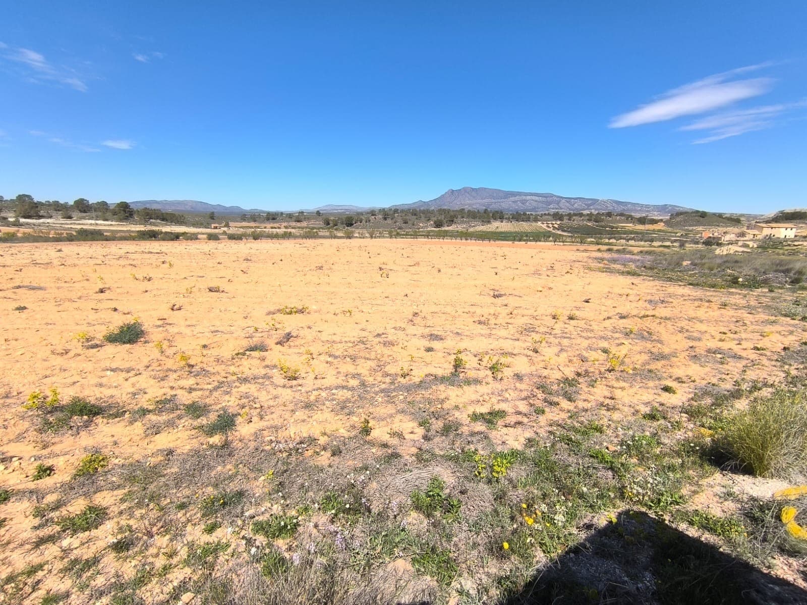 Se vende: Parcela de aprox. 18.000 m², ubicada cerca de La Zarza, en el municipio de Jumilla, a 15 minutos de Pinoso. Antiguo viñedo, actualmente en barbecho. La parcela podría destinarse a fines agrícolas o a la construcción de una casa rural. Además, se podría adquirir una parcela vecina con almendros de 15.000 m² para crear una gran finca. Sobre la zona: La región de Murcia, en el sureste de España, es una importante productora de frutas, verduras y frutos secos. Los almendros son especialmente importantes, ya que el clima mediterráneo, seco y cálido de Murcia, y su suelo fértil son ideales para su cultivo. La región es uno de los principales productores de almendras de Europa, contribuyendo significativamente tanto al mercado local como al internacional. Sobre nosotros: Contamos con una amplia cartera de propiedades en la Costa Blanca y la Costa Cálida, especializándonos en fincas, villas, fincas, terrenos edificables y opciones de diseño y construcción en las regiones de Alicante y Murcia, con especial énfasis en Elda, Monóvar, Pinoso, Sax, Villena, Aspe, Fortuna, Albacete y muchas otras zonas de los alrededores. Llevamos establecidos desde 2004 y nuestro equipo cuenta con décadas de experiencia para ayudarle a encontrar y asegurar la casa de sus sueños. Le acompañamos en cada paso del proceso para garantizar que su compra en España sea segura y sin complicaciones. No estamos aquí para venderle una propiedad, sino para ayudarle a hacer realidad su sueño y encontrar la propiedad perfecta para usted. Con nosotros, está en las mejores manos. Contáctenos ahora para hablar sin compromiso sobre cómo usted también puede hacer realidad sus sueños.
