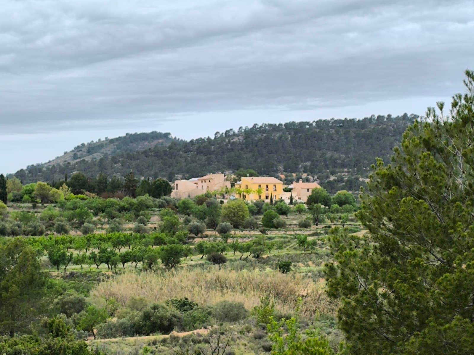 En una encantadora aldea, rodeada de ondulantes colinas y exuberante naturaleza, esta casa para reformar ofrece un potencial infinito. La estructura de la casa es sólida y el tejado se renovó recientemente. Una oportunidad única para quienes buscan paz, espacio y la auténtica vida al aire libre. Disfrute del silencio y las impresionantes vistas a diario. Desde su puerta se adentrará en la naturaleza, con numerosas rutas de senderismo, ideal para los amantes de la naturaleza y para quienes sueñan con una vida auténtica en un entorno precioso. Disponemos de una amplia cartera de propiedades en la Costa Blanca y la Costa Cálida, especializándonos en fincas rústicas, villas, fincas, terrenos edificables y opciones de diseño y construcción en las regiones de Alicante y Murcia, con especial énfasis en Elda, Monóvar, Pinoso, Sax, Villena, Aspe, Fortuna, Albacete y muchas otras zonas de los alrededores. Llevamos establecidos desde 2004 y nuestro equipo cuenta con décadas de experiencia para ayudarle a encontrar y asegurar la casa de sus sueños. Le acompañamos en cada paso del proceso para garantizar que su compra en España sea segura y sin complicaciones. No estamos aquí para venderle una propiedad, sino para ayudarle a hacer realidad su sueño y encontrar la propiedad perfecta para usted. Con nosotros, está en las mejores manos. Contáctenos ahora para hablar sin compromiso sobre cómo usted también puede hacer realidad sus sueños.