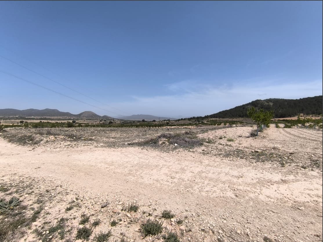 Ofrecemos este huerto ecológico de almendros y una parcela con potencial edificable, ubicada entre Pinoso y Monóvar, perteneciente al municipio de Monóvar. La parcela, de más de 15.000 m², se encuentra en un entorno tranquilo con impresionantes vistas a la montaña y cuenta con agua de riego. Se accede por un camino de tierra, a 8 minutos de Pinoso y a 12 minutos de Monóvar. La electricidad está cerca, pero la parcela aún no está conectada. El terreno está plantado con almendros jóvenes en plena producción. Los árboles se riegan con un moderno sistema de riego, oculto en un cobertizo, equipado con bomba, sistema solar y amplio trastero. El sistema de riego se puede adquirir aparte con el terreno. Sobre la zona: Monóvar (Alicante, España), conocida por su impresionante campiña y su acogedor ambiente, ofrece una combinación perfecta de cultura tradicional española y comodidades modernas. Rodeada de pintorescos viñedos y ondulantes colinas, la localidad es reconocida por su calidad de vida, con excelentes servicios locales, colegios y fácil acceso a las vibrantes ciudades de Alicante y Elche, así como al aeropuerto y a las playas del Mediterráneo. La región es un importante productor de frutas, verduras y frutos secos. Los almendros son especialmente importantes, ya que el clima seco y cálido y la tierra fértil son ideales para su cultivo. Sobre nosotros: Contamos con una amplia cartera de propiedades en la Costa Blanca y la Costa Cálida, especializándonos en fincas, villas, fincas, terrenos edificables y opciones de diseño y construcción en las regiones de Alicante y Murcia, con especial énfasis en Elda, Monóvar, Pinoso, Sax, Villena, Aspe, Fortuna, Albacete y muchas otras zonas de los alrededores. Llevamos establecidos desde 2004 y nuestro equipo cuenta con décadas de experiencia para ayudarle a encontrar y asegurar la casa de sus sueños. Le acompañamos en cada paso del proceso para garantizar que su compra en España sea segura y sin complicaciones. No estamos aquí para venderle una propiedad, sino para ayudarle a hacer realidad su sueño y encontrar la propiedad perfecta para usted. Con nosotros, está en las mejores manos. Contáctenos ahora para hablar sin compromiso sobre cómo usted también puede hacer realidad sus sueños.