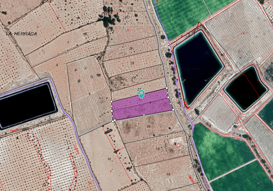 Este terreno de 12.501 m² ofrece una fantástica oportunidad para crear una casa a medida en un tranquilo entorno rural cerca de Monóvar. En esta zona se puede construir hasta un 2% en dos plantas. Esto proporciona espacio más que suficiente para una espaciosa villa, jardín y piscina, manteniendo la privacidad y un entorno abierto. Ubicada a poca distancia en coche del pueblo de Monóvar, esta zona es conocida por sus paisajes naturales, viñedos y la acogedora comunidad local. Monóvar ofrece todos los servicios esenciales, como supermercados, atención médica, colegios y restaurantes, a la vez que conserva un ambiente tranquilo y tradicional. La parcela también goza de buenas conexiones por carretera con los pueblos cercanos y se encuentra a una distancia razonable de la costa y del aeropuerto de Alicante. Esta es una gran oportunidad para quienes buscan construir en una zona pintoresca y accesible de la provincia de Alicante. Disponemos de una amplia cartera de propiedades en la Costa Blanca y la Costa Cálida, especializándonos en fincas rústicas, villas, fincas, terrenos edificables y opciones de diseño y construcción en las regiones de Alicante y Murcia, con especial énfasis en Elda, Monóvar, Pinoso, Sax, Villena, Aspe, Fortuna, Albacete y muchas otras zonas de los alrededores. Llevamos establecidos desde 2004 y nuestro equipo cuenta con décadas de experiencia para ayudarle a encontrar y asegurar la casa de sus sueños. Le acompañamos en cada paso del proceso para garantizar que su compra en España sea segura y sin complicaciones. No estamos aquí para venderle una propiedad, sino para ayudarle a hacer realidad su sueño y encontrar la propiedad perfecta para usted. Con nosotros, está en las mejores manos. Contáctenos ahora para hablar sin compromiso sobre cómo usted también puede hacer realidad sus sueños.