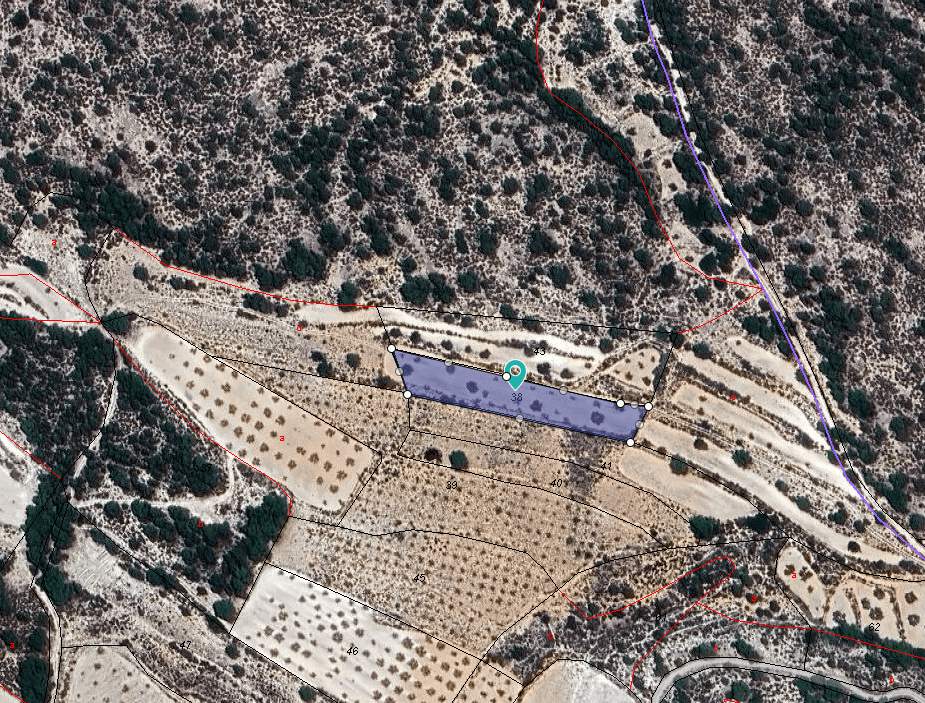 Esta parcela de 2.023 m² se encuentra a las afueras de Monóvar y está destinada exclusivamente a uso agrícola. No es edificable, pero ofrece una gran oportunidad para la agricultura, la plantación de árboles u otras actividades agrícolas. Gracias a su tamaño manejable, este terreno es ideal para agricultores aficionados, productores locales o cualquier persona que desee invertir en un terreno rural. La zona de Monóvar es conocida por sus viñedos, almendros y olivos. Es una región tranquila con una fuerte tradición agrícola, pero cerca de todos los servicios esenciales. Monóvar ofrece supermercados, restaurantes, colegios y atención médica, y se encuentra a solo 35-40 minutos de Alicante ciudad y la costa. Es una forma práctica y económica de disfrutar de la vida rural en la provincia de Alicante. Disponemos de una amplia cartera de propiedades en la Costa Blanca y la Costa Cálida, especializándonos en fincas rústicas, villas, fincas, terrenos edificables y opciones de diseño y construcción en las regiones de Alicante y Murcia, con especial énfasis en Elda, Monóvar, Pinoso, Sax, Villena, Aspe, Fortuna, Albacete y muchas otras zonas de los alrededores. Llevamos establecidos desde 2004 y nuestro equipo cuenta con décadas de experiencia para ayudarle a encontrar y asegurar la casa de sus sueños. Le acompañamos en cada paso del proceso para garantizar que su compra en España sea segura y sin complicaciones. No estamos aquí para venderle una propiedad, sino para ayudarle a hacer realidad su sueño y encontrar la propiedad perfecta para usted. Con nosotros, está en las mejores manos. Contáctenos ahora para hablar sin compromiso sobre cómo usted también puede hacer realidad sus sueños.