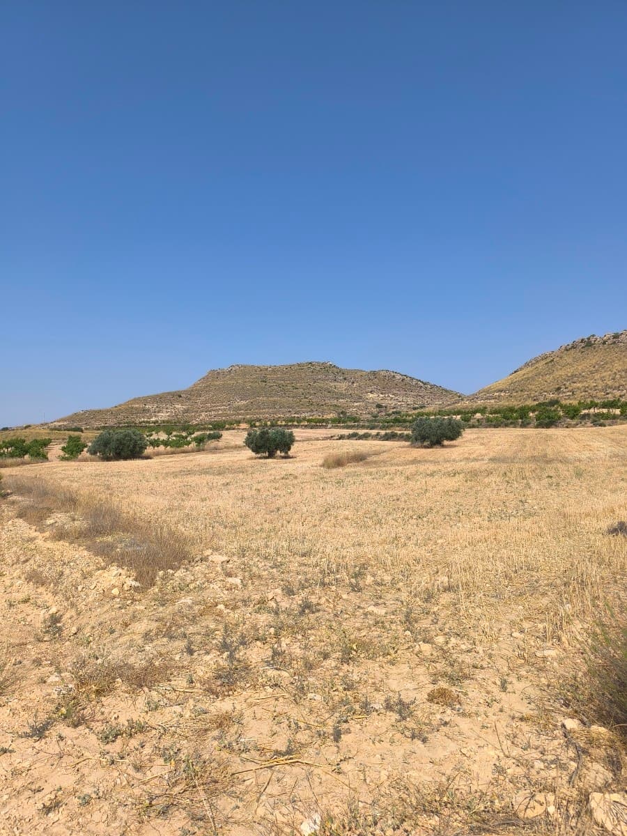 This spacious building plot of over 14,000 m² offers breathtaking views of nature and the surrounding mountains. Situated in a quiet area, within walking distance of the charming village of Torre del Rico, where you can enjoy the local atmosphere in the cosy village bar.The plot has irrigation water, ideal for agricultural purposes or creating a garden or vineyard. Irrigation water can also be used in house, just not for drinking.The lively town of Pinoso is only a 10-minute drive away and offers all necessary amenities: medical services, supermarkets, shops, restaurants and bars.There is also a possibility of expansion: this plot can be combined with the adjacent land (Ref. 69013), which gives a total of over 41,000 m² of land.A unique opportunity for those looking for peace, nature and space – with all the comforts within reach.