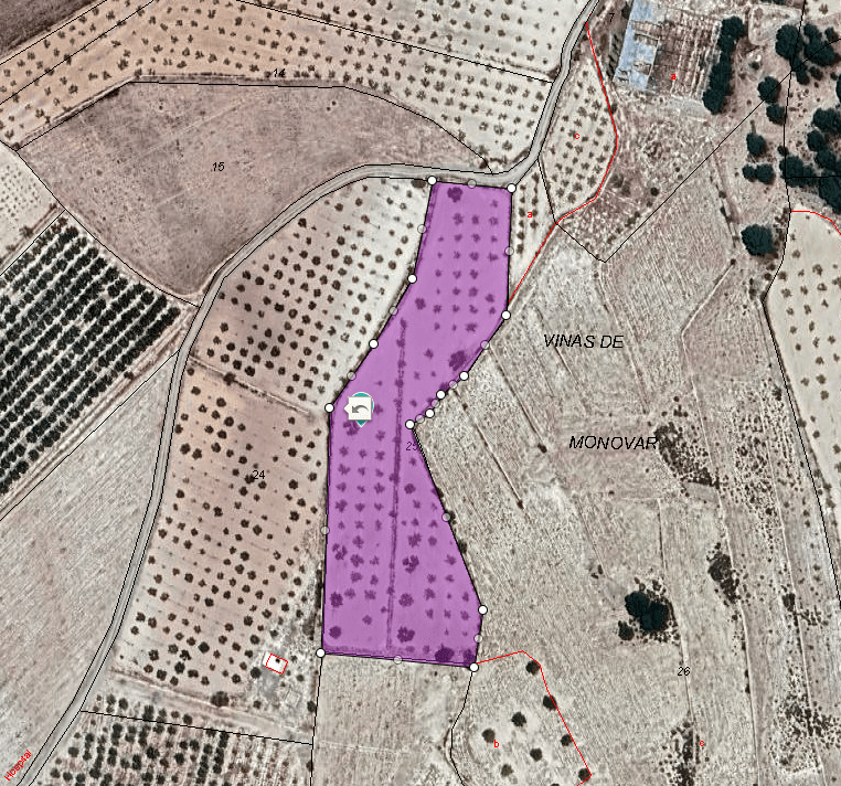 This 9,568 m² plot is located just outside Monóvar and is designated for agricultural use only. It is not buildable, but it offers a great opportunity for farming, planting trees, or other agricultural activities. With its manageable size, this land is ideal for hobby farmers, local growers, or anyone looking to invest in a piece of countryside.The area around Monóvar is well known for its vineyards, almond groves, and olive trees. It's a peaceful region with a strong agricultural tradition, yet close to all essential services in town. Monóvar offers supermarkets, restaurants, schools, and healthcare, and is just 35–40 minutes from Alicante city and the coast. This is a practical and affordable way to enjoy rural life in the Alicante province.We have a large portfolio of properties in the Costa Blanca and Costa Calida areas, specialising in country properties, villas, fincas, building plots and design and build options in the Alicante and Murcia regions with a particular emphasis on Elda, Monovar, Pinoso, Sax, Villena, Aspe, Fortuna, Albacete and many more surrounding areas. We have been established since 2004 and have decades of experience between the team which we bring to bear to help you find and secure your new dream home. We help you every step of the way to make sure your purchase in Spain is safe and hassle free. We are not here to sell you a property, we are here to help you realise your dream and find what is right for you. With us you are in the safest hands. Contact us now to have a no obligation chat about how you too can realise your dreams.