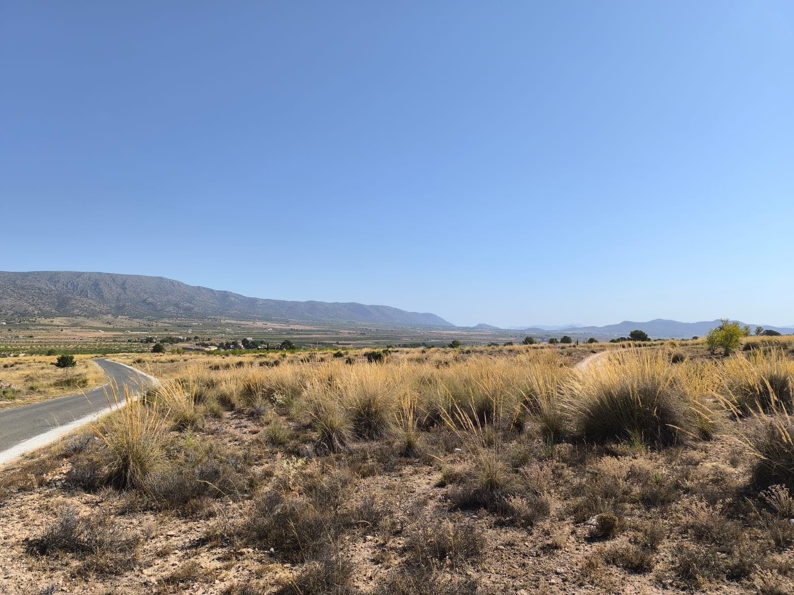 Gran terreno con potencial de construcción – Lel, cerca de Pinoso Esta parcela de 23.472 m² en Lel, a las afueras de Pinoso, ofrece una gran oportunidad para quienes buscan construir una casa en el campo. Con acceso por carretera asfaltada, esta amplia parcela está clasificada como parcela edificable, lo que permite construir hasta el 2 % de su superficie en dos plantas, ideal para una villa a medida o un refugio rural. Tenga en cuenta que la parcela no tiene conexiones de agua ni electricidad. Se encuentra a solo 3 km de Pinoso y ofrece magníficas vistas de los alrededores. Sobre el área: Lel es una tranquila aldea situada a poca distancia en coche de Pinoso, uno de los pueblos más codiciados del interior de Alicante. Conocida por su producción vinícola, su acogedora comunidad y su hermoso entorno natural, Pinoso ofrece todos los servicios esenciales, como supermercados, colegios, servicios de salud, bares y restaurantes. La ciudad de Alicante, el aeropuerto y la costa están a aproximadamente 45 minutos, lo que la convierte en la ubicación perfecta para quienes buscan una vida rural con fácil acceso a las comodidades urbanas. Disponemos de una amplia cartera de propiedades en la Costa Blanca y la Costa Cálida, especializándonos en fincas rústicas, villas, fincas, terrenos edificables y opciones de diseño y construcción en las regiones de Alicante y Murcia, con especial énfasis en Elda, Monóvar, Pinoso, Sax, Villena, Aspe, Fortuna, Albacete y muchas otras zonas de los alrededores. Llevamos establecidos desde 2004 y nuestro equipo cuenta con décadas de experiencia para ayudarle a encontrar y asegurar la casa de sus sueños. Le acompañamos en cada paso del proceso para garantizar que su compra en España sea segura y sin complicaciones. No estamos aquí para venderle una propiedad, sino para ayudarle a hacer realidad su sueño y encontrar la propiedad perfecta para usted. Con nosotros, está en las mejores manos. Contáctenos ahora para hablar sin compromiso sobre cómo usted también puede hacer realidad sus sueños.