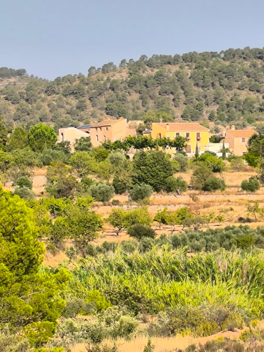 House to renovate in idyllic Spanish hamlet – near Font AlmorquíThis unique renovation project is located in a charming hamlet, surrounded by unspoiled nature and near the beautiful Font Almorquí area. On a generous 750 m² plot, you'll find a partly renovated house (also sold separate in our reference 69009), another characteristic house to be renovated completely, two dilapidated barns, and what was once a charming chapel (our reference 69014).The first house is partly renovated (complete roof has been renewed). The main house exudes history but requires complete renovation. There is currently no water or electricity connection, but proven solutions exist in Spain, such as solar panels for energy and a water reservoir for the water supply.This is an excellent opportunity for those seeking peace, space, and an authentic Spanish setting. With the right vision, this place can be transformed into a beautiful home or holiday retreat, surrounded by nature, yet within easy reach of amenities.Whether you want more privacy for guests, extra room for big family gatherings, or a separate space for friends, this combination would transform your property into the perfect vacation retreat. With more bedrooms, expanded common areas, and plenty of outdoor space, you can create a destination that brings everyone together while giving them room to spread out and relax.A blank canvas for those who appreciate history, nature, and self-sufficient living. About Monóvar & Pinoso – Where Tradition Meets Flavor: Savor the rich taste of Fondillón, Monóvar's world-famous sweet wine, and indulge in rustic Mediterranean dishes like gazpacho manchego, rabbit with snails, and migas. Explore charming historic streets, lace-making traditions, and nearby natural parks. In neighboring Pinoso, experience award-winning red wines, marble heritage, and warm village hospitality. Together, these towns offer the perfect blend of culture, cuisine, and countryside charm.About us: we have a large portfolio of properties in the Costa Blanca and Costa Calida areas, specialising in country properties, villas, fincas, building plots and design and build options in the Alicante and Murcia regions with a particular emphasis on Elda, Monovar, Pinoso, Sax, Villena, Aspe, Fortuna, Albacete and many more surrounding areas. We have been established since 2004 and have decades of experience between the team which we bring to bear to help you find and secure your new dream home. We help you every step of the way to make sure your purchase in Spain is safe and hassle free. We are not here to sell you a property, we are here to help you realise your dream and find what is right for you. With us you are in the safest hands. Contact us now to have a no obligation chat about how you too can realise your dreams.
