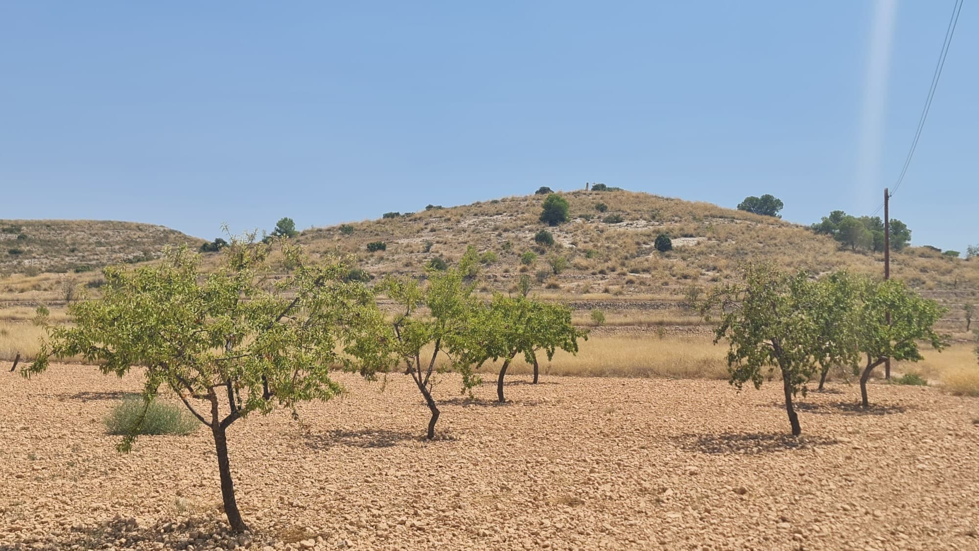 A great opportunity to purchase an 8,454 m² rustic buildable plot in Cañada del Trigo. This spacious plot offers peaceful surroundings and plenty of room, ideal for building a countryside home or retreat.The land has easy road access and is set in a quiet, scenic area, just onn the edge of the village, providing a tranquil lifestyle while still being within reach of local amenities.The plot allows for a build of up to 250 m² if constructing a single floor, or 200 m² per floor for a two-storey property, offering flexibility for your project.With its size, location, and building potential, this plot is a great choice for anyone looking to invest in the countryside.BOth water and electric are available in the area and access is via a tarmac road. We have a large portfolio of properties in the Costa Blanca and Costa Calida areas, specialising in country properties, villas, fincas, building plots and design and build options in the Alicante and Murcia regions with a particular emphasis on Elda, Monovar, Pinoso, Sax, Villena, Aspe, Fortuna, Albacete and many more surrounding areas. We have been established since 2004 and have decades of experience between the team which we bring to bear to help you find and secure your new dream home. We help you every step of the way to make sure your purchase in Spain is safe and hassle free. We are not here to sell you a property, we are here to help you realise your dream and find what is right for you. With us you are in the safest hands. Contact us now to have a no obligation chat about how you too can realise your dreams.