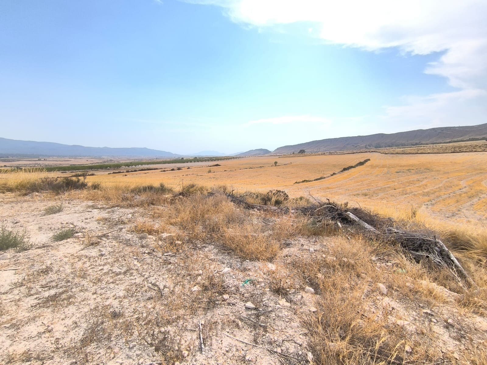 Interesting opportunity! For sale: attached country house with over 330.000 m2 of fertile farm land, 15 minutes from Pinoso, for a bargain price! Don't hesitate to contact us for a viewing today! The property features:Double country houseTwo attached country houses, each on 2 floors, each with own bathroom, kitchen, salon with a fireplace, 3 bedrooms and a large garageMains drinking water and electricityStorage area and large backyard for keeping animalsSolid construction, but the house is in need of large reform - roofing, windows, floors, painting, wiring and plumbing.Farm land31 hectares (76 acres) of fertile farm land, partially irrigatedalmond orchards, olive trees, cereal fieldsbuildablecalm area with tremendous views with vast fields and mountains on the horizoneasy access via infrequent but convenient tarmac roadLocationTranquil agricultural zone15 minutes drive from Pinoso, 20 minutes from Jumilla1 hour from Alicante airport, Murcia airport, and Mediterranean beachesAbout the area: Pinoso (Alicante, Spain), known for its stunning countryside, and welcoming atmosphere, offers a perfect blend of traditional Spanish culture and modern conveniences. Surrounded by picturesque vineyards and rolling hills, Pinoso is renowned for its quality of life, with excellent local amenities, schools, and easy access to both the vibrant cities of Alicante and Elche, as well as beautiful Mediterranean beaches. Whether you're seeking a peaceful rural retreat or a family-friendly community, Pinoso is an ideal place to invest in property, combining serene living with great potential for growth.About us: We have a large portfolio of properties in the Costa Blanca and Costa Calida areas, specialising in country properties, villas, fincas, building plots and design and build options in the Alicante and Murcia regions with a particular emphasis on Elda, Monovar, Pinoso, Sax, Villena, Aspe, Fortuna, Albacete and many more surrounding areas. We have been established since 2004 and have decades of experience between the team which we bring to bear to help you find and secure your new dream home. We help you every step of the way to make sure your purchase in Spain is safe and hassle free. We are not here to sell you a property, we are here to help you realise your dream and find what is right for you. With us you are in the safest hands. Contact us now to have a no obligation chat about how you too can realise your dreams.