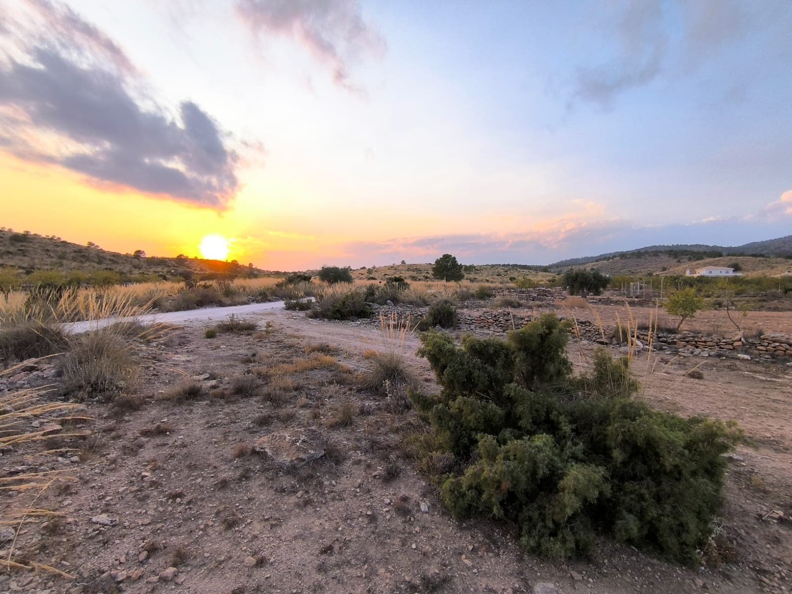 Discover this Building Plot of 12234 m2 for sale in Pinoso. Wonderful opportunity to build your off-grid dream house in beautiful environment! You are allowed to build 2% and two levels (2x244 m2). The land, planted by producing almond trees and olives, is located 3 km from Paredon (with local bar) and 7 km from Pinoso. The plot is flat, has one neighbour and stunning mountain views. Access by a convenient dirt road. We can help you with the building design and connect you with builders, solar panels company etc. If you liked this property, do not hesitate to contact us to organize a visit, we will be happy to help you!About the area: Pinoso (Alicante, Spain), known for its stunning countryside, and welcoming atmosphere, offers a perfect blend of traditional Spanish culture and modern conveniences. Surrounded by picturesque vineyards and rolling hills, Pinoso is renowned for its quality of life, with excellent local amenities, schools, and easy access to both the vibrant cities of Alicante and Elche, as well as beautiful Mediterranean beaches. Whether you're seeking a peaceful rural retreat or a family-friendly community, Pinoso is an ideal place to invest in property, combining serene living with great potential for growth.About us: We have a large portfolio of properties in the Costa Blanca and Costa Calida areas, specialising in country properties, villas, fincas, building plots and design and build options in the Alicante and Murcia regions with a particular emphasis on Elda, Monovar, Pinoso, Sax, Villena, Aspe, Fortuna, Albacete and many more surrounding areas. We have been established since 2004 and have decades of experience between the team which we bring to bear to help you find and secure your new dream home. We help you every step of the way to make sure your purchase in Spain is safe and hassle free. We are not here to sell you a property, we are here to help you realise your dream and find what is right for you. With us you are in the safest hands. Contact us now to have a no obligation chat about how you too can realise your dreams.