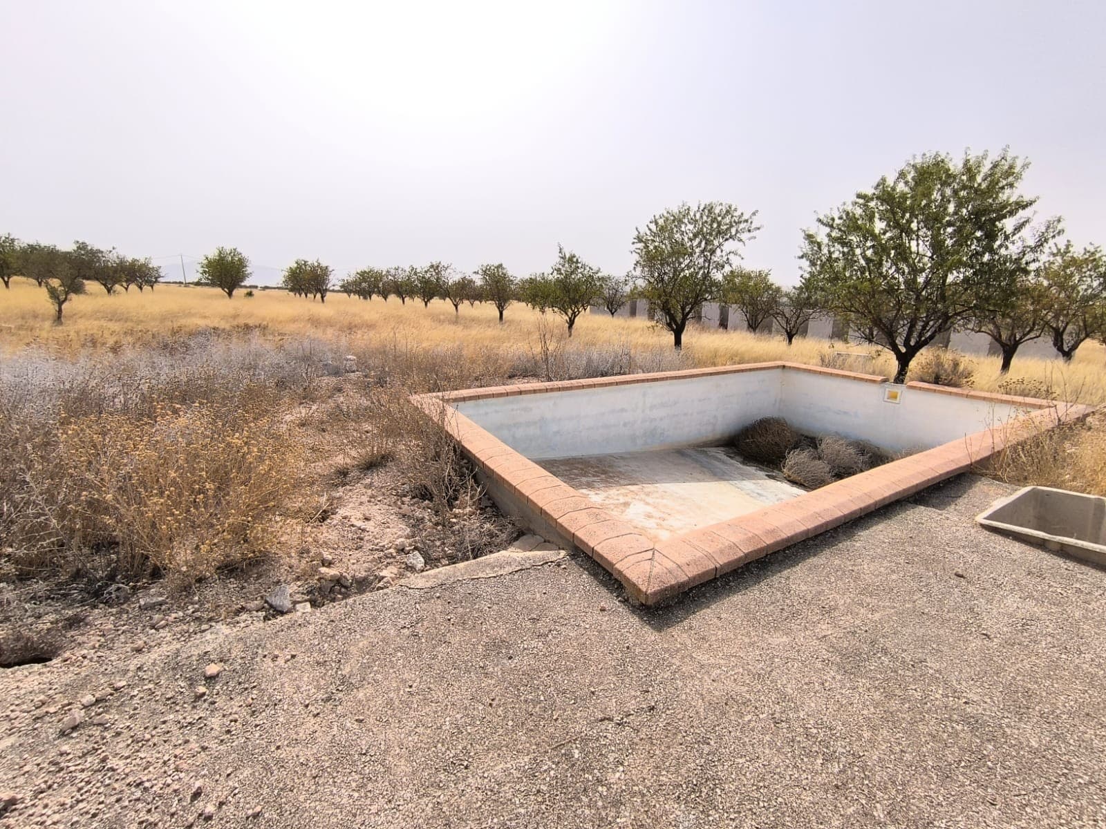 A rare opportunity to construct your new house, or pick up a potential business. Building parcel of approximately 25,000m2 that boasts:A quality ground swimming poolUnfinished outbuildings, previously used as dog kennelsFoundation for a houseRuins of an old house and a workshopOwn water from a bore holeMains electricity connectionNo close neighboursAlmond orchardFlat terrainThe new constructions built on the plot - pool, foundations and kennels - are not licensed, but the town hall has confirmed that there are no fines due and as long as the new owners apply for a license for the pool then all will be in order. They have also indicated that a boarding kennels type facility could be run from that plot with the right licenses. Bargain price! The land is located 10 min drive north of Yecla. Tranquil location with beautiful views. Access via dirt road.About the area: Yecla is a charming and historic town of app. 35000 inhabitants, located in the region of Murcia. It is renowned for its award-winning wines, historical landmarks, and vibrant local culture. The surrounding natural landscapes of scenic mountains, vineyards and almond groves provide opportunities for outdoor activities, while the town itself offers all necessary services, including hospital, schools, shops, restaurants, and other services. With a friendly local community, lively markets, excellent gastronomy, and easy access to nature, Yecla is an ideal location for those seeking authentic Spanish lifestyle - just about an hour from the coast and Alicante airport.About us: We have a large portfolio of properties in the Costa Blanca and Costa Calida areas, specialising in country properties, villas, fincas, building plots and design and build options in the Alicante and Murcia regions with a particular emphasis on Elda, Monovar, Pinoso, Sax, Villena, Aspe, Fortuna, Albacete and many more surrounding areas. We have been established since 2004 and have decades of experience between the team which we bring to bear to help you find and secure your new dream home. We help you every step of the way to make sure your purchase in Spain is safe and hassle free. We are not here to sell you a property, we are here to help you realise your dream and find what is right for you. With us you are in the safest hands. Contact us now to have a no obligation chat about how you too can realise your dreams.