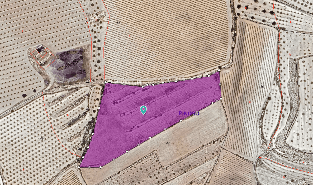 Enclavada en la encantadora aldea de Úbeda , a tan solo 10 minutos en coche de la animada ciudad de Pinoso , esta extensa parcela de 17.208 m² ofrece el entorno perfecto para construir la casa de sus sueños. Rodeada de ondulantes paisajes rurales, viñedos y almendros, la ubicación brinda la tranquilidad y la privacidad de la vida en el campo, sin renunciar a la proximidad a todos los servicios esenciales. Imagínese despertar con impresionantes vistas a la montaña y disfrutar de una serenidad absoluta lejos del ruido y el estrés de la ciudad. Este terreno ofrece un amplio espacio para construir una hermosa villa, añadir una piscina o incluso cultivar su propio jardín mediterráneo. Tanto si busca un refugio tranquilo para la jubilación, una casa familiar en la campiña española o una oportunidad de inversión, esta propiedad en Úbeda es un lienzo en blanco listo para dar vida a su visión. Acerca de Pinoso: El cercano pueblo de Pinoso (El Pinós) es uno de los secretos mejor guardados de Alicante. Conocido por su acogedora comunidad, su encanto tradicional español y su excelente gastronomía —que incluye vinos premiados y los famosos arroces locales—, Pinoso ofrece todos los servicios que puedas necesitar: supermercados, restaurantes, centro médico, colegios y mercados semanales. A pesar de su ambiente tranquilo, está convenientemente ubicado a tan solo 45 minutos de la ciudad de Alicante, el aeropuerto y las hermosas playas del Mediterráneo . Pinoso combina autenticidad con accesibilidad, convirtiéndose así en uno de los enclaves de interior más deseables para quienes buscan la España auténtica. Si le ha gustado esta propiedad, no dude en ponerse en contacto con nosotros para organizar una visita. ¡Estaremos encantados de ayudarle! Disponemos de una amplia cartera de propiedades en la Costa Blanca y la Costa Cálida, especializándonos en casas de campo, villas, fincas, solares edificables y proyectos de diseño y construcción en Alicante y Murcia, con especial énfasis en Elda, Monóvar, Pinoso, Sax, Villena, Aspe, Fortuna, Albacete y muchas otras zonas cercanas. Desde 2004, nuestro equipo cuenta con décadas de experiencia para ayudarle a encontrar y adquirir la casa de sus sueños. Le acompañamos en cada paso para que su compra en España sea segura y sin complicaciones. Nuestro objetivo no es venderle una propiedad, sino ayudarle a cumplir su sueño y encontrar la vivienda ideal. Con nosotros, estará en las mejores manos. Contáctenos hoy mismo para una consulta gratuita y sin compromiso sobre cómo usted también puede hacer realidad sus sueños.