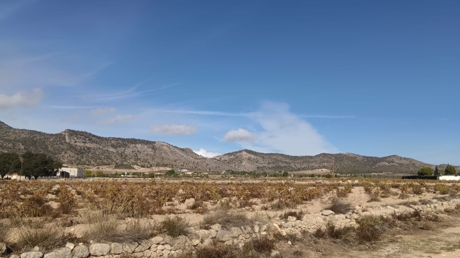 10,000 m² Building Plot for Sale in Salinas, AlicanteThis 10,000 m² plot in Salinas offers an excellent opportunity for anyone looking to build a home in a peaceful countryside setting while staying close to town. The land has irrigation water connected, with drinking water and electricity available nearby for quick and easy connection. It also had building permission in the past, making it suitable for a future construction project (subject to reapplication). The plot is flat, easy to access, and ideal for a villa, small agricultural project, or a countryside retreat. Best of all, it is within walking distance to town—only 7 minutes on foot or 2 minutes by car.About the area: Salinas is a charming inland village surrounded by open countryside and mountain views. It offers a relaxed lifestyle with essential amenities such as shops, cafés, restaurants, a school, sports facilities, and a medical centre. The nearby towns of Sax, Elda, and Villena provide additional services, and Alicante airport and the beaches of the Costa Blanca are roughly 35–40 minutes away. The location is perfect for those wanting space, privacy, and nature without being isolated.We have a large portfolio of properties in the Costa Blanca and Costa Calida areas, specialising in country properties, villas, fincas, building plots and design and build options in the Alicante and Murcia regions with a particular emphasis on Elda, Monovar, Pinoso, Sax, Villena, Aspe, Fortuna, Albacete and many more surrounding areas. We have been established since 2004 and have decades of experience between the team which we bring to bear to help you find and secure your new dream home. We help you every step of the way to make sure your purchase in Spain is safe and hassle free. We are not here to sell you a property, we are here to help you realise your dream and find what is right for you. With us you are in the safest hands. Contact us now to have a no obligation chat about how you too can realise your dreams.