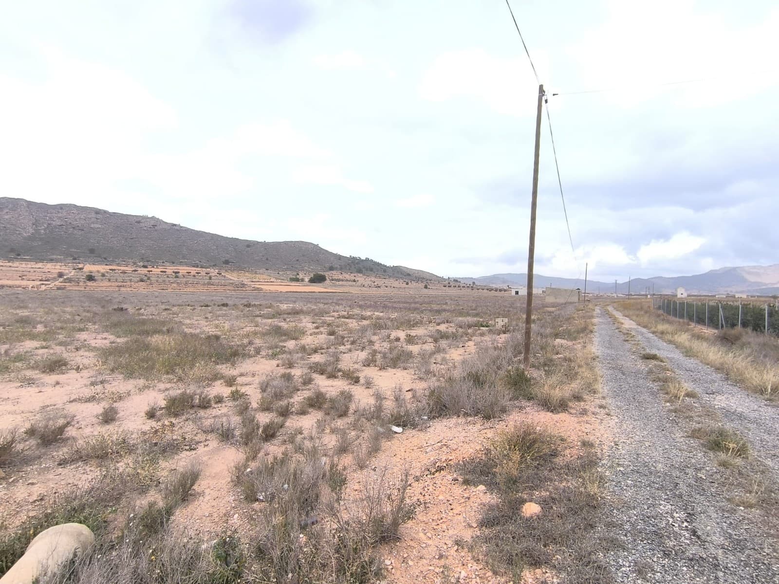 Building parcel of over 22000 m2 - could be divided into 4 separate building parcels, each with its own access via an older tarmac road, where 250 m2 on a single level (or 200 m2 over 2 levels) can be built. Electricity and drinking water connections are available at the border of the property. Located in a valley, surrounded by vineyards, rolling hills, in expat-friendly area.Distances:Cañada de la Leña (the closest village with a bar) - 1.5 kmAlgueña (the closest larger village with a supermarket) - 7 minPinoso (the closest town with markets, schools, clinics, vet, gyms, etc.) - 14 minElche (the closest city) - 40 minAlicante airport - 50 minBeach - 52 minAbout the area: Pinoso (Alicante, Spain), known for its stunning countryside, and welcoming atmosphere, offers a perfect blend of traditional Spanish culture and modern conveniences. Surrounded by picturesque vineyards and rolling hills, Pinoso is renowned for its quality of life, with excellent local amenities, schools, and easy access to both the vibrant cities of Alicante and Elche, as well as beautiful Mediterranean beaches. Whether you're seeking a peaceful rural retreat or a family-friendly community, Pinoso is an ideal place to invest in property, combining serene living with great potential for growth.About us: We have a large portfolio of properties in the Costa Blanca and Costa Calida areas, specialising in country properties, villas, fincas, building plots and design and build options in the Alicante and Murcia regions with a particular emphasis on Elda, Monovar, Pinoso, Sax, Villena, Aspe, Fortuna, Albacete and many more surrounding areas. We have been established since 2004 and have decades of experience between the team which we bring to bear to help you find and secure your new dream home. We help you every step of the way to make sure your purchase in Spain is safe and hassle free. We are not here to sell you a property, we are here to help you realise your dream and find what is right for you. With us you are in the safest hands. Contact us now to have a no obligation chat about how you too can realise your dreams.
