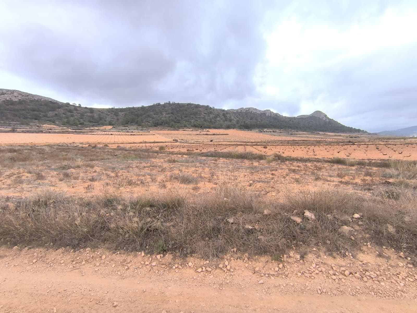 Plot of 3775 m2 for sale in a picturesque valley, near Pinoso. The land, currently fallow, offers tranquility, and stunning mountain views. Convenient access by a dirt road. Due to its size, this parcel is not a building plot! We have building parcels in the same area - do not hesitate to contact us to organize a visit, we will be happy to help you!Distances:La Solana (the closest village with a bar) - 1.5 kmAlgueña (the closest larger village with a supermarket) - 5 kmPinoso (the closest town with markets, schools, clinics, vet, gyms, etc.) - 7 km, 8 minElche (the closest city) - 40 minAlicante airport - 50 minBeach - 52 minAbout the area: Pinoso (Alicante, Spain), known for its stunning countryside, and welcoming atmosphere, offers a perfect blend of traditional Spanish culture and modern conveniences. Surrounded by picturesque vineyards and rolling hills, Pinoso is renowned for its quality of life, with excellent local amenities, schools, and easy access to both the vibrant cities of Alicante and Elche, as well as beautiful Mediterranean beaches. Whether you're seeking a peaceful rural retreat or a family-friendly community, Pinoso is an ideal place to invest in property, combining serene living with great potential for growth.About us: We have a large portfolio of properties in the Costa Blanca and Costa Calida areas, specialising in country properties, villas, fincas, building plots and design and build options in the Alicante and Murcia regions with a particular emphasis on Elda, Monovar, Pinoso, Sax, Villena, Aspe, Fortuna, Albacete and many more surrounding areas. We have been established since 2004 and have decades of experience between the team which we bring to bear to help you find and secure your new dream home. We help you every step of the way to make sure your purchase in Spain is safe and hassle free. We are not here to sell you a property, we are here to help you realise your dream and find what is right for you. With us you are in the safest hands. Contact us now to have a no obligation chat about how you too can realise your dreams.