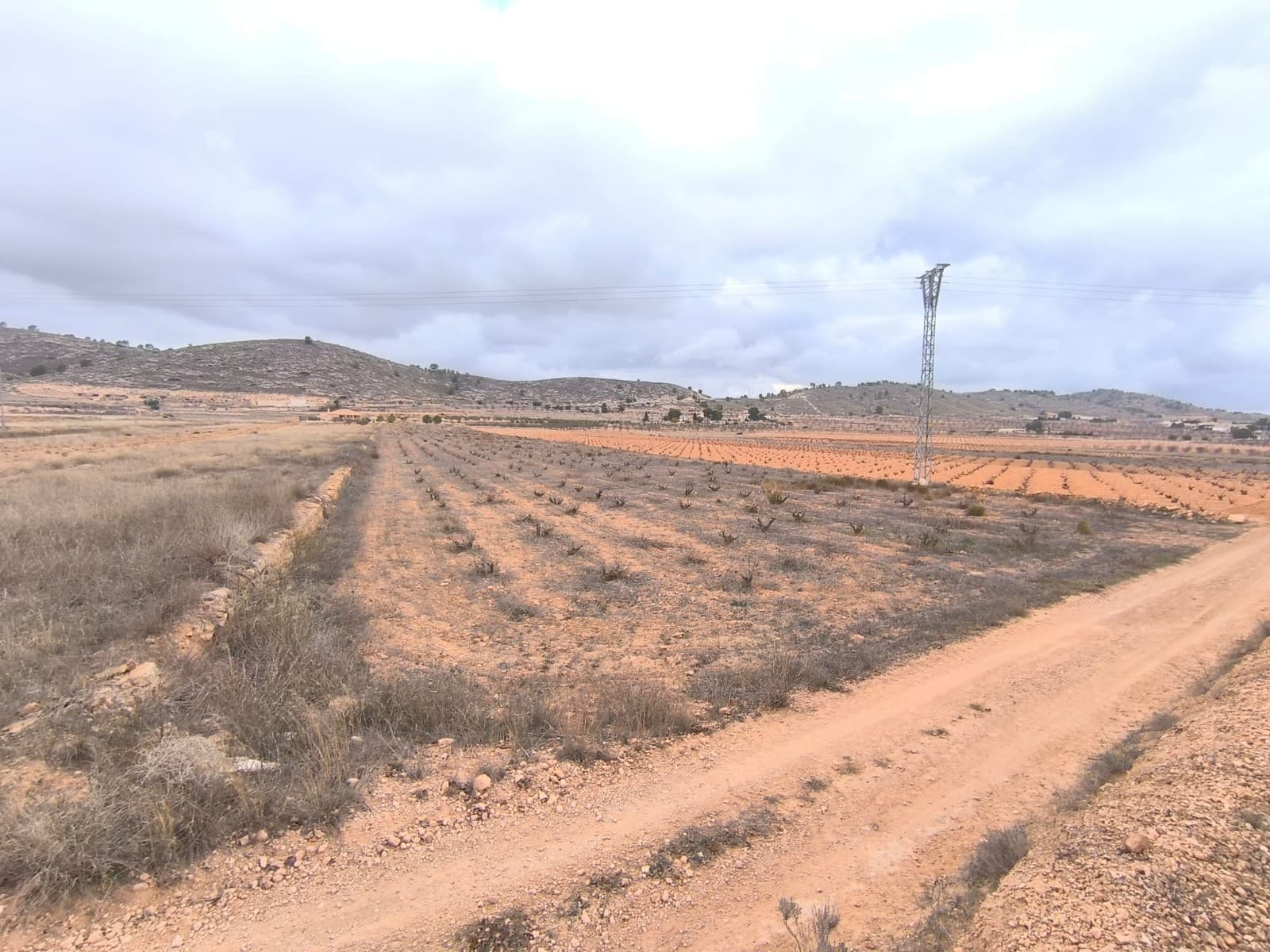 Legal building plot of 10091 m2 for sale in a picturesque valley, near Pinoso. The land, currently fallow, offers privacy, tranquility, and stunning mountain views. It is flat and easy to build on. Convenient access by a dirt road. Water and electricity are in the area.You are allowed to build up to 250 m2 on a single level (or 200 m2 over 2 levels), including the living unit, swimming pool, a garage etc. We can help you with the building design and connect you with architects, builders, solar panels company etc. If you liked this property, do not hesitate to contact us to organize a visit, we will be happy to help you!Distances:La Solana (the closest village with a bar) - 1.5 kmAlgueña (the closest larger village with a supermarket) - 5 kmPinoso (the closest town with markets, schools, clinics, vet, gyms, etc.) - 7 km, 8 minElche (the closest city) - 40 minAlicante airport - 50 minBeach - 52 minAbout the area: Pinoso (Alicante, Spain), known for its stunning countryside, and welcoming atmosphere, offers a perfect blend of traditional Spanish culture and modern conveniences. Surrounded by picturesque vineyards and rolling hills, Pinoso is renowned for its quality of life, with excellent local amenities, schools, and easy access to both the vibrant cities of Alicante and Elche, as well as beautiful Mediterranean beaches. Whether you're seeking a peaceful rural retreat or a family-friendly community, Pinoso is an ideal place to invest in property, combining serene living with great potential for growth.About us: We have a large portfolio of properties in the Costa Blanca and Costa Calida areas, specialising in country properties, villas, fincas, building plots and design and build options in the Alicante and Murcia regions with a particular emphasis on Elda, Monovar, Pinoso, Sax, Villena, Aspe, Fortuna, Albacete and many more surrounding areas. We have been established since 2004 and have decades of experience between the team which we bring to bear to help you find and secure your new dream home. We help you every step of the way to make sure your purchase in Spain is safe and hassle free. We are not here to sell you a property, we are here to help you realise your dream and find what is right for you. With us you are in the safest hands. Contact us now to have a no obligation chat about how you too can realise your dreams.